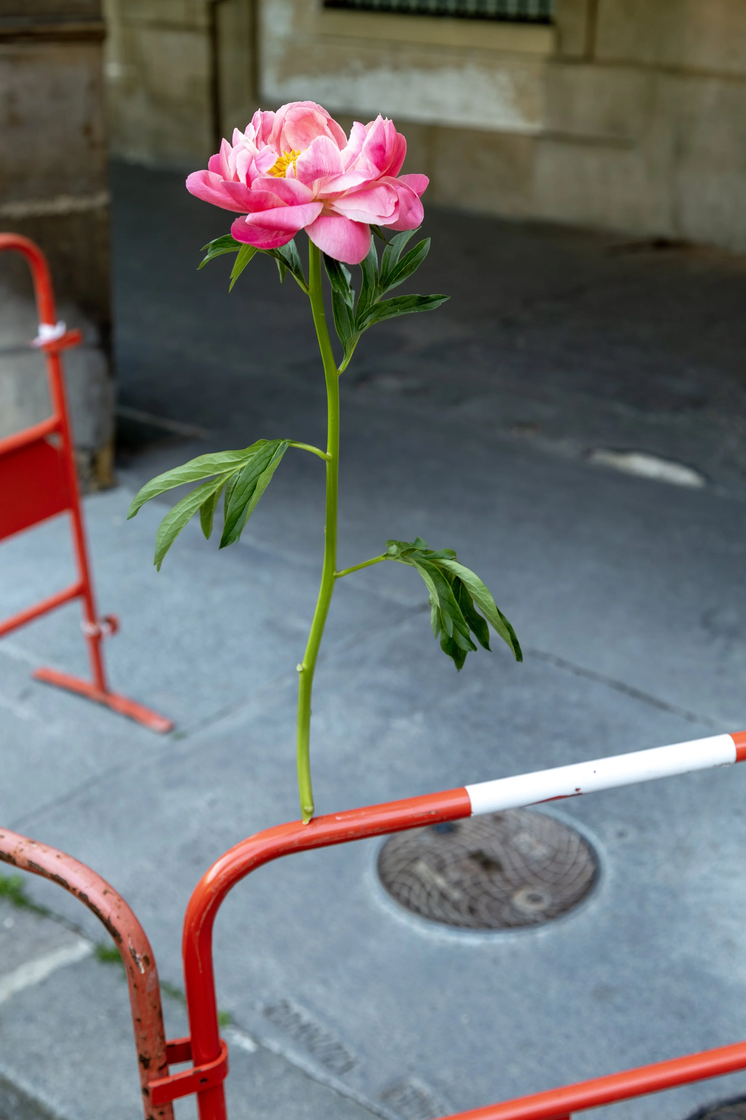 2023 Good Luck (portable street barrier).jpg