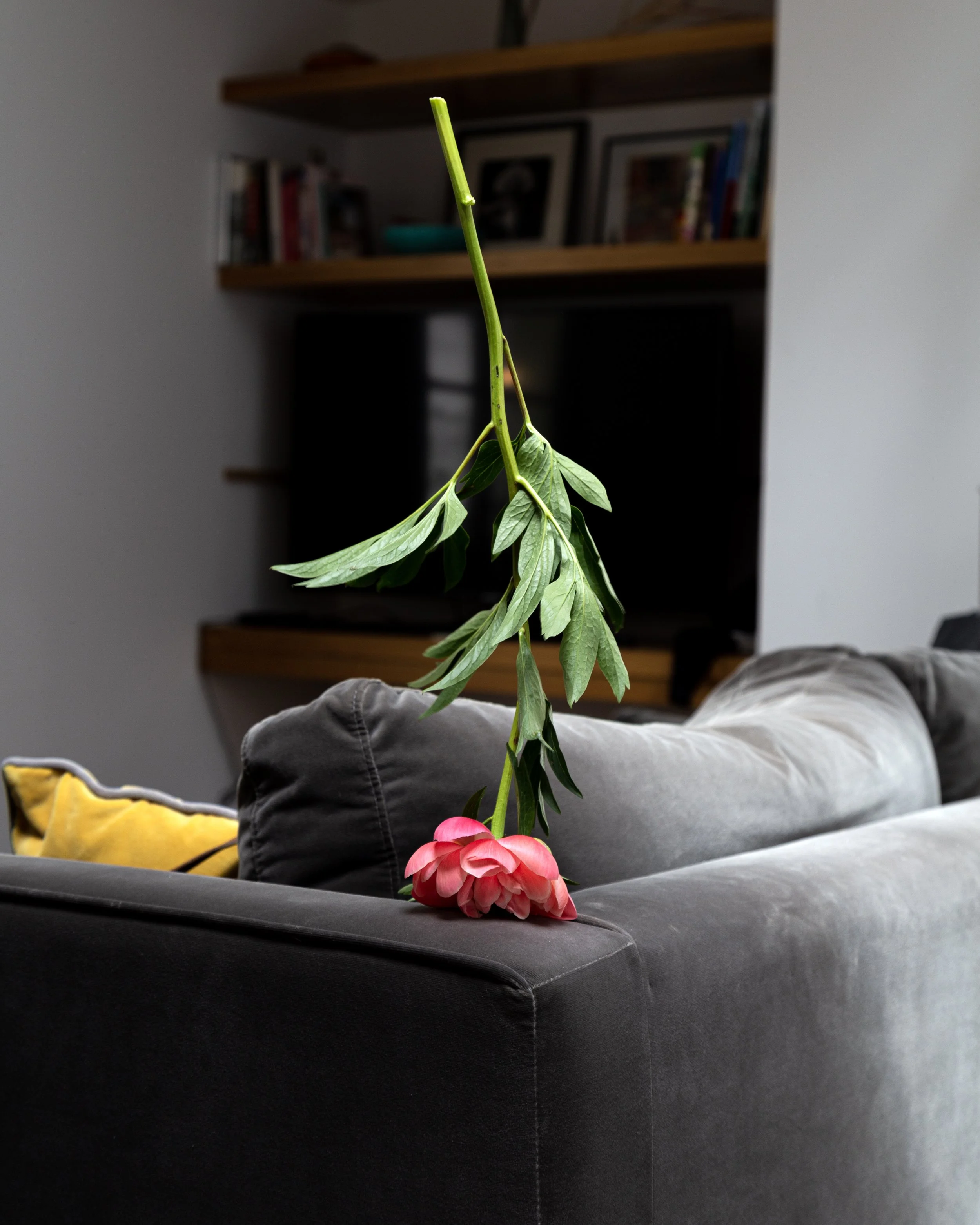 2023 Good Luck (couch).jpg