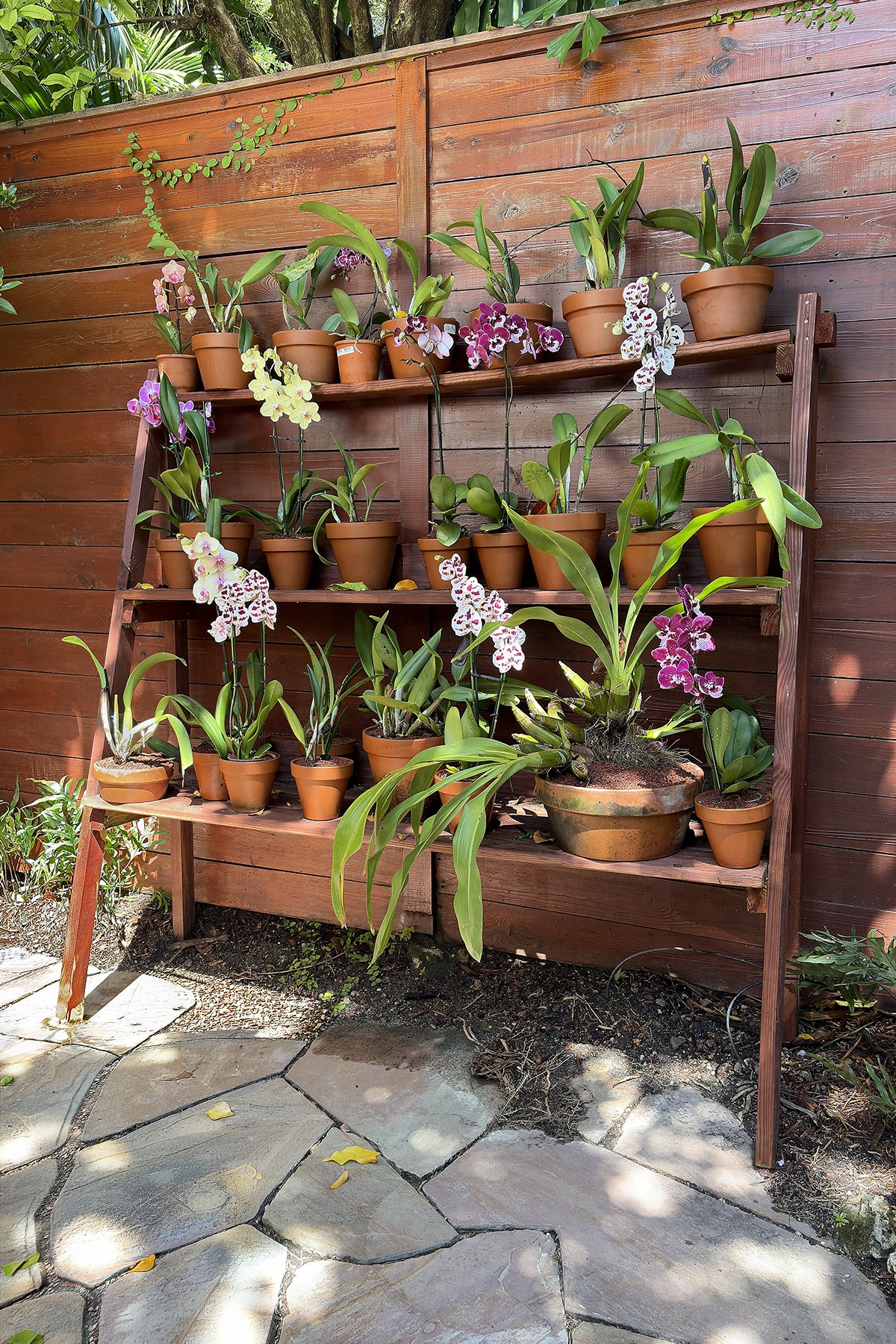 photo: Alice Goldhagen