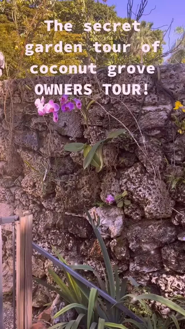 Slide 8