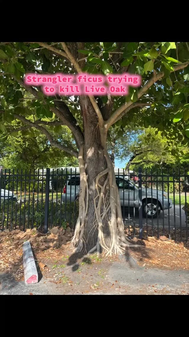 Slide 10