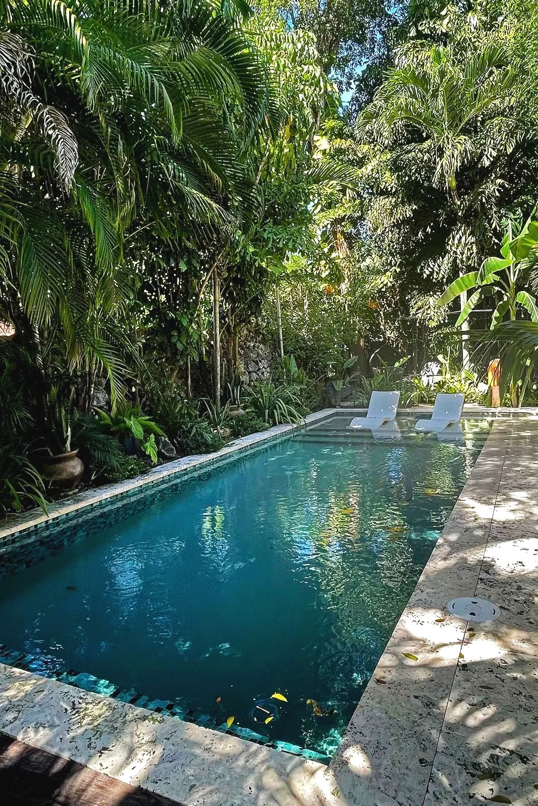 photo: Alice Goldhagen