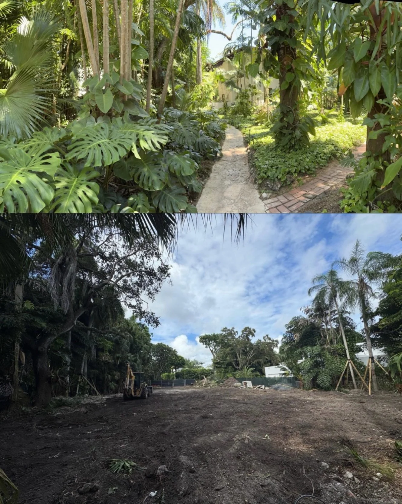 📍 Leafy Way - Spread the word.

One day a vivacious landscape, the next - another cleared lot. We&rsquo;re sick and tired of our neighborhood being treated like an empty landscape for development.

This garden was once featured on our Secret Gardens