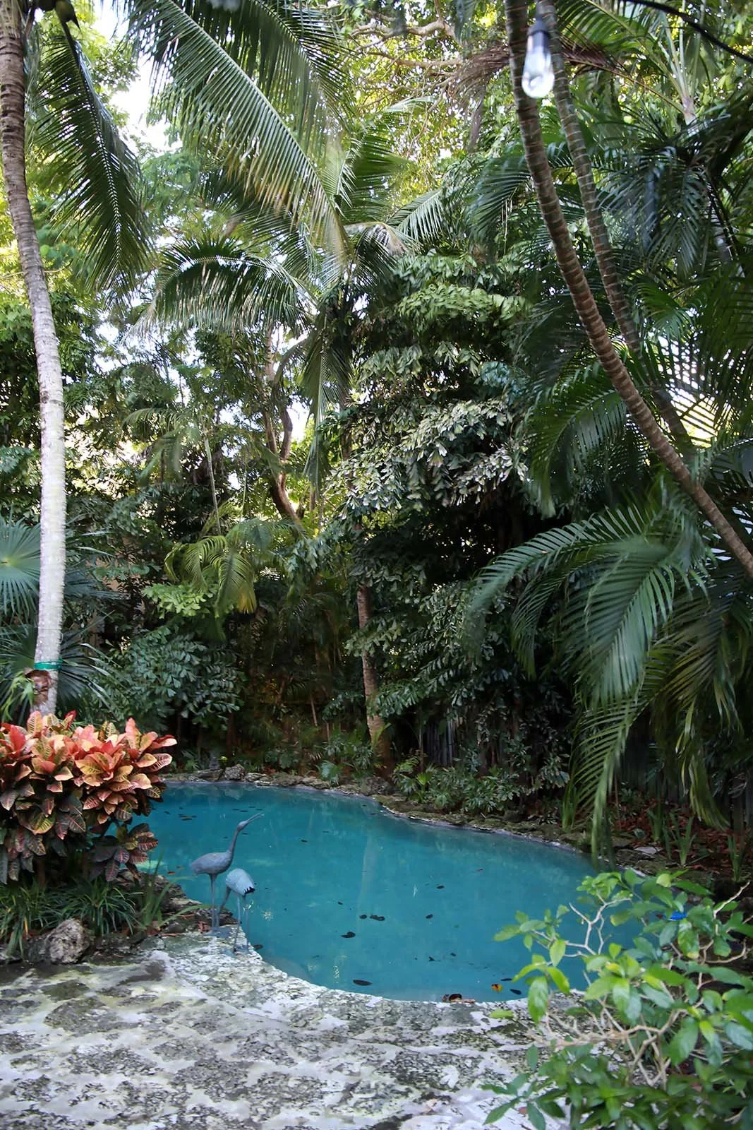 photo: Alice Goldhagen   