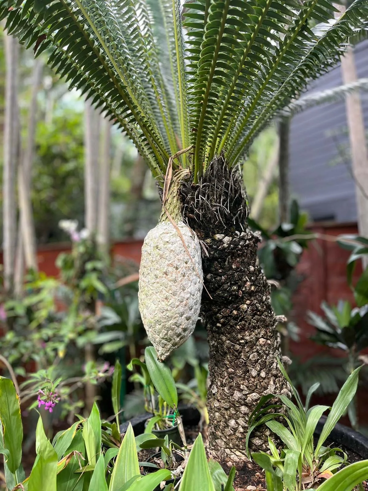 photo: Alice Goldhagen