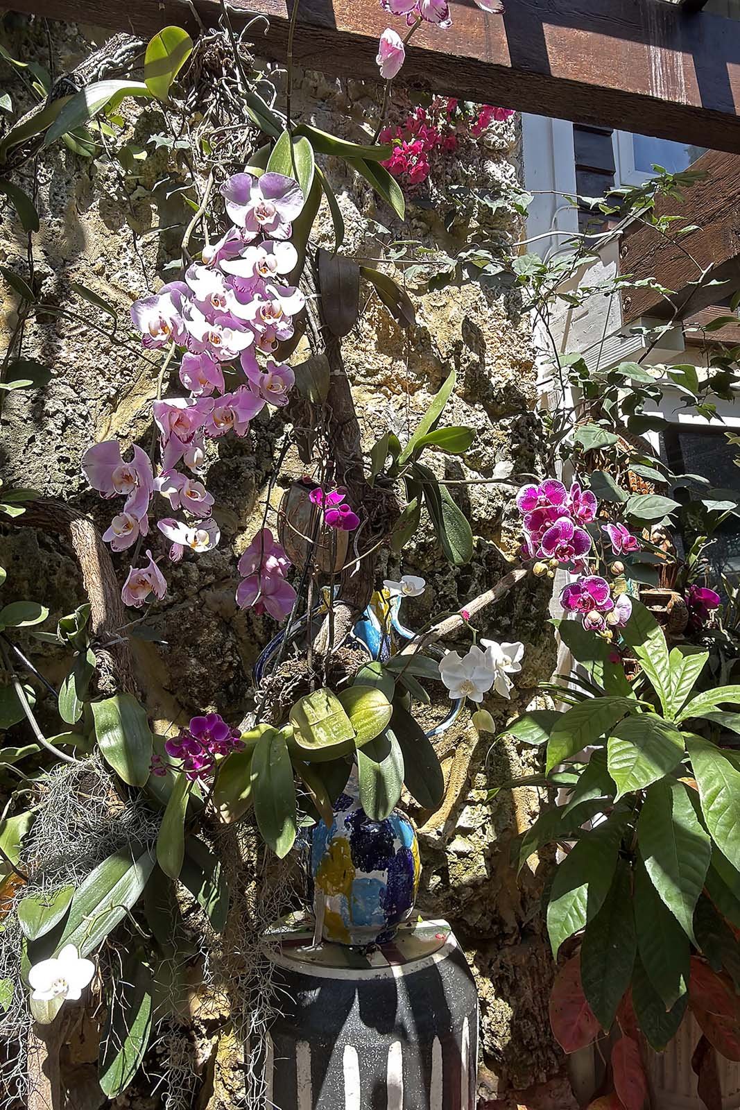 photo: Alice Goldhagen