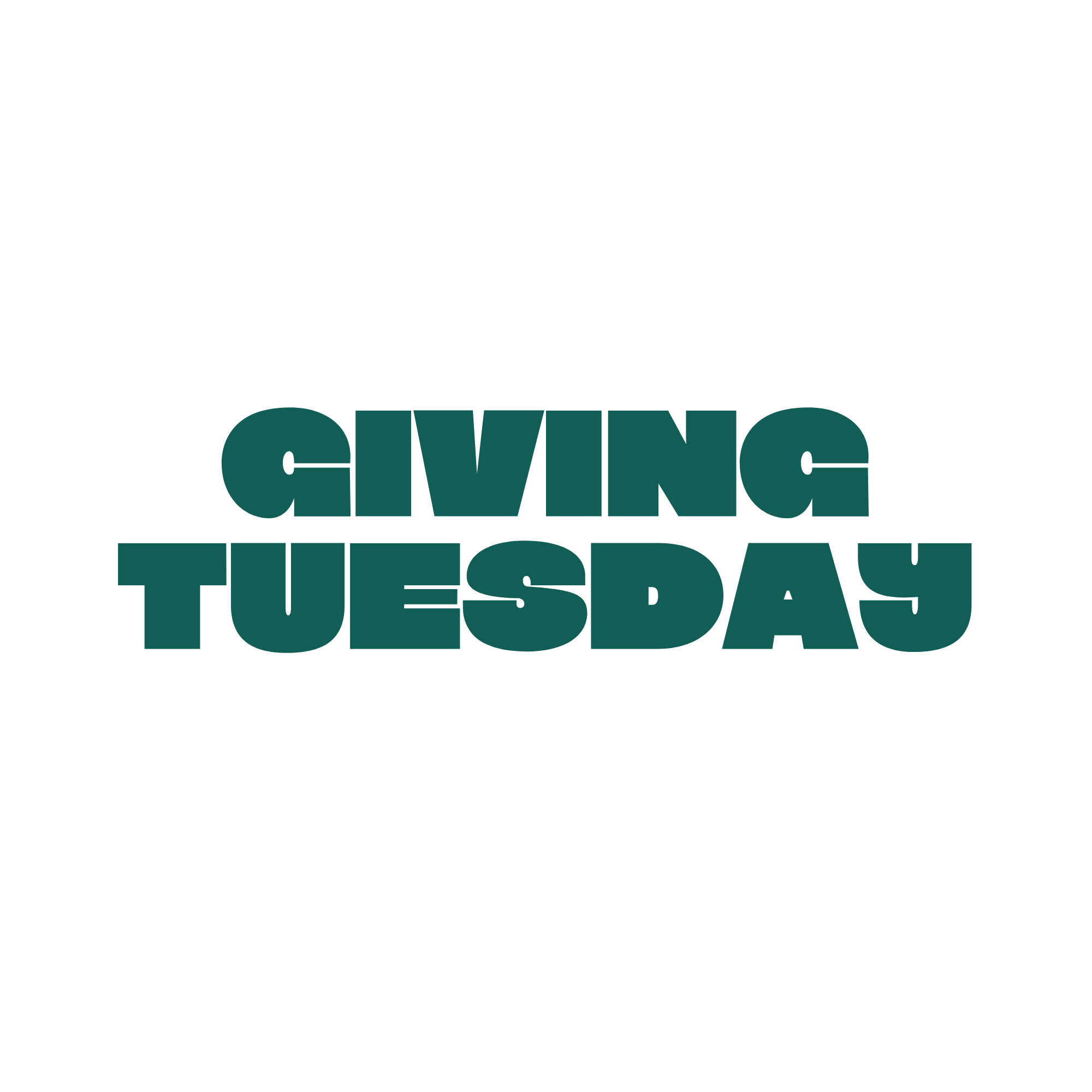 Giving Tuesday Boise-Eliot-Humboldt Fundraiser