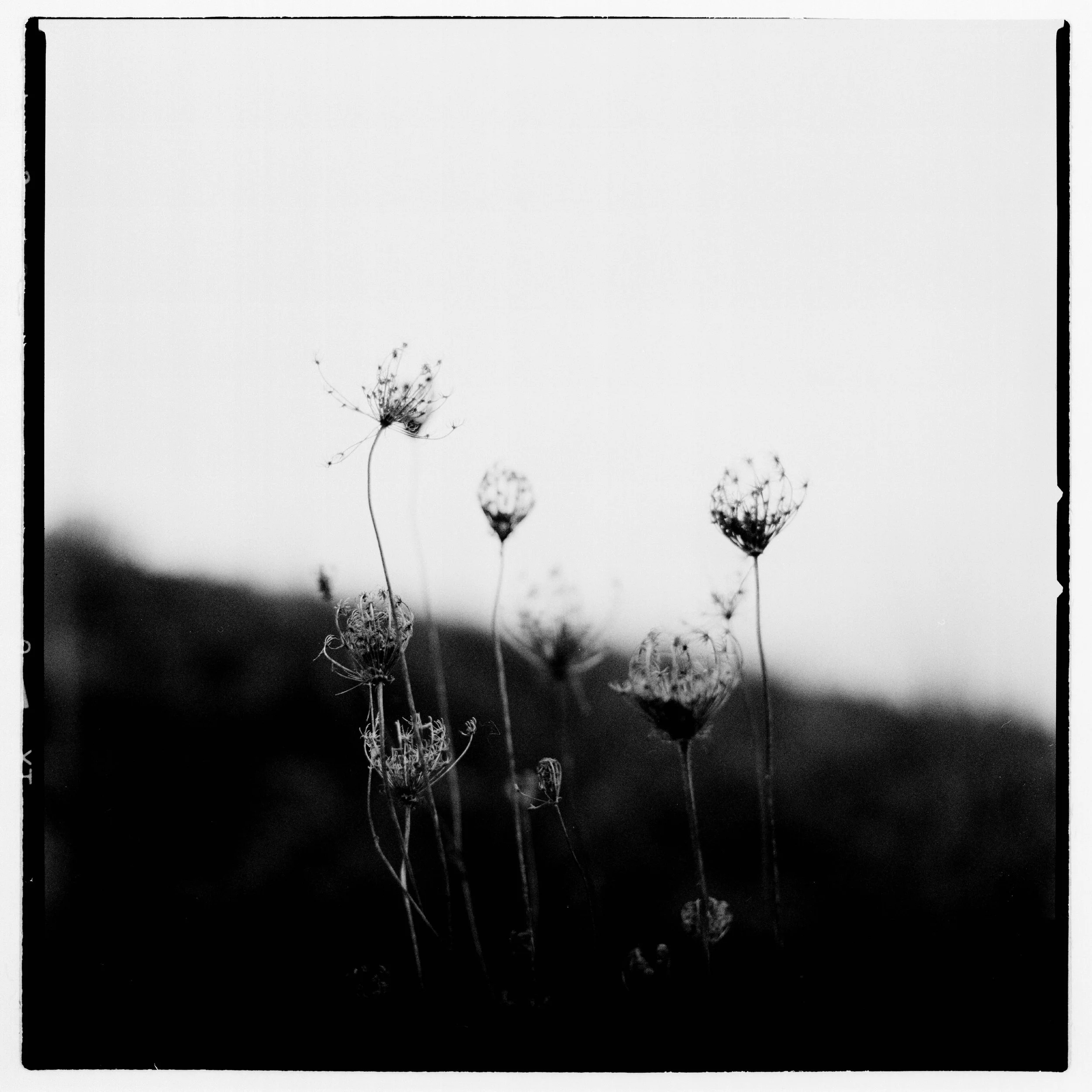 blokkade frames2.jpg