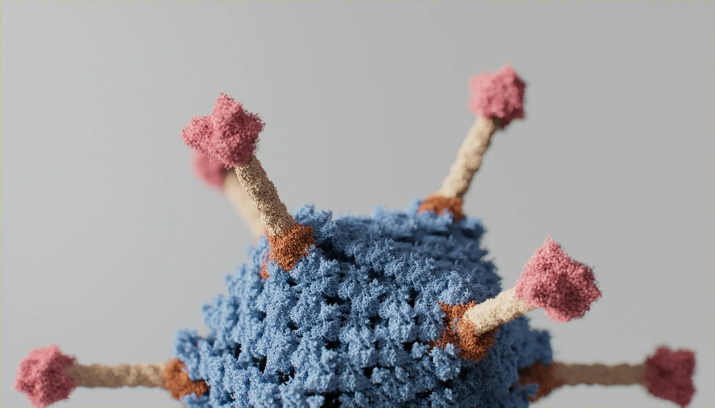 Frequently Asked Questions about COVID-19