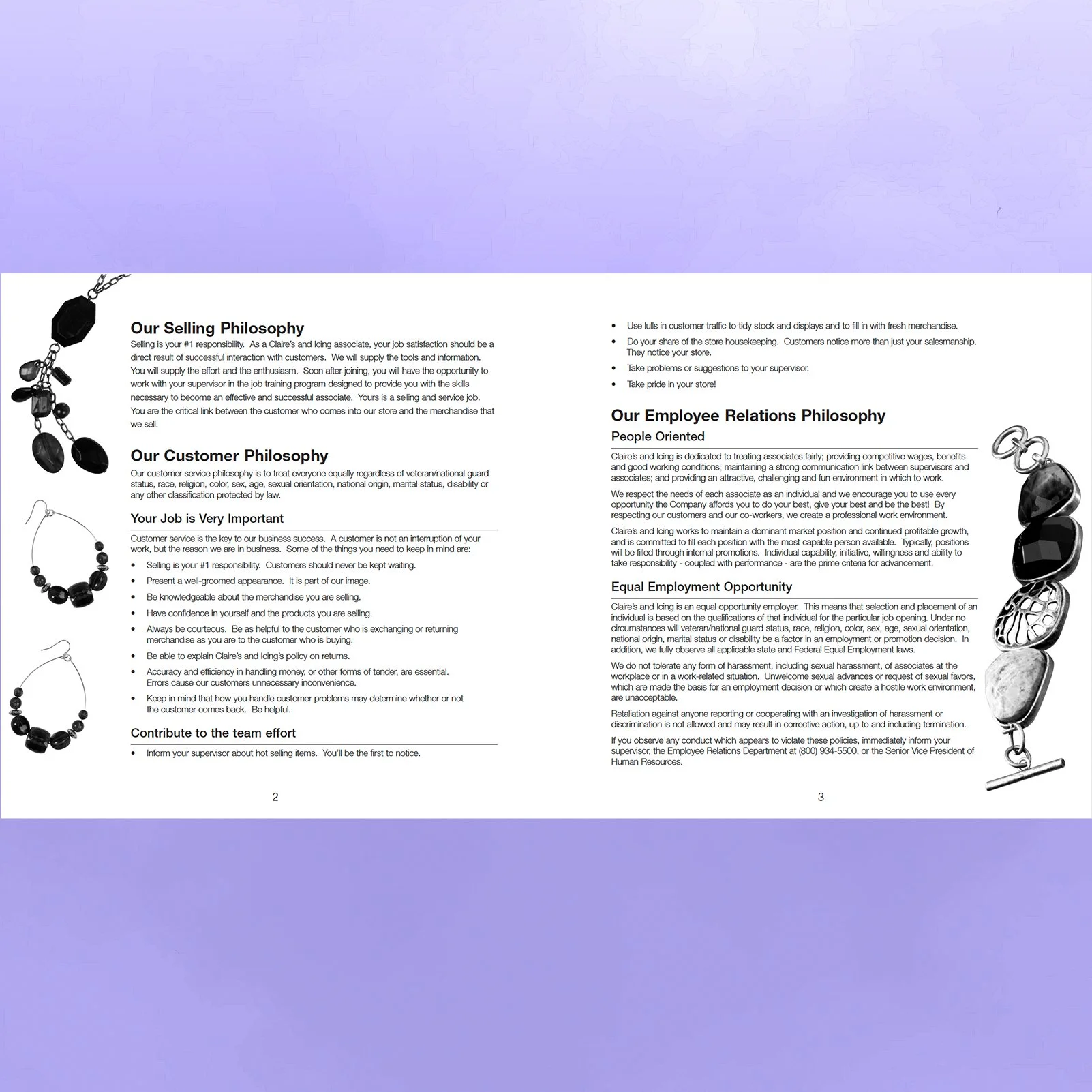 claires_Icing_handbook_spread_2.jpg