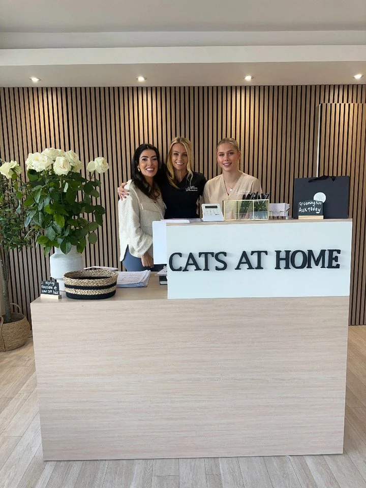 Another powerful content day with one of my longest-standing clients, Cats at Home, Norfolk&rsquo;s most trusted cat grooming specialists.
With over 25 years of grooming and veterinary expertise, they&rsquo;ve just expanded to a third salon in Norwic