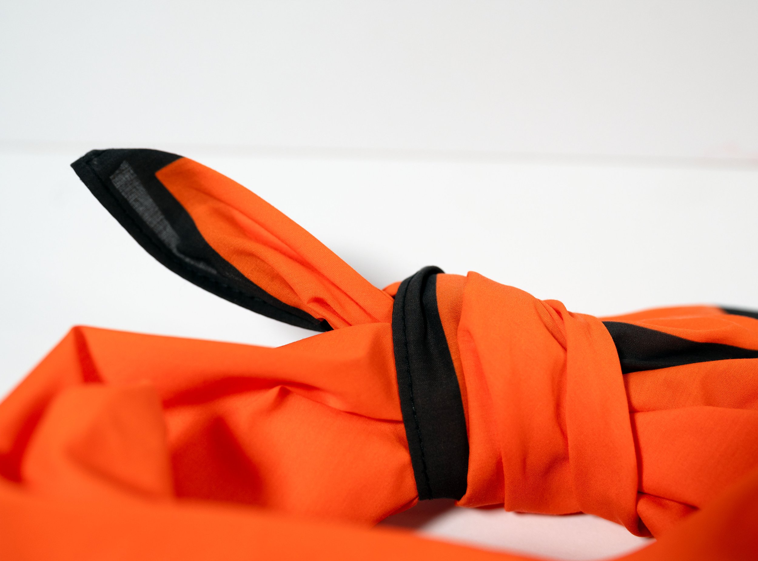 Pumpkin_Detail 1.jpg