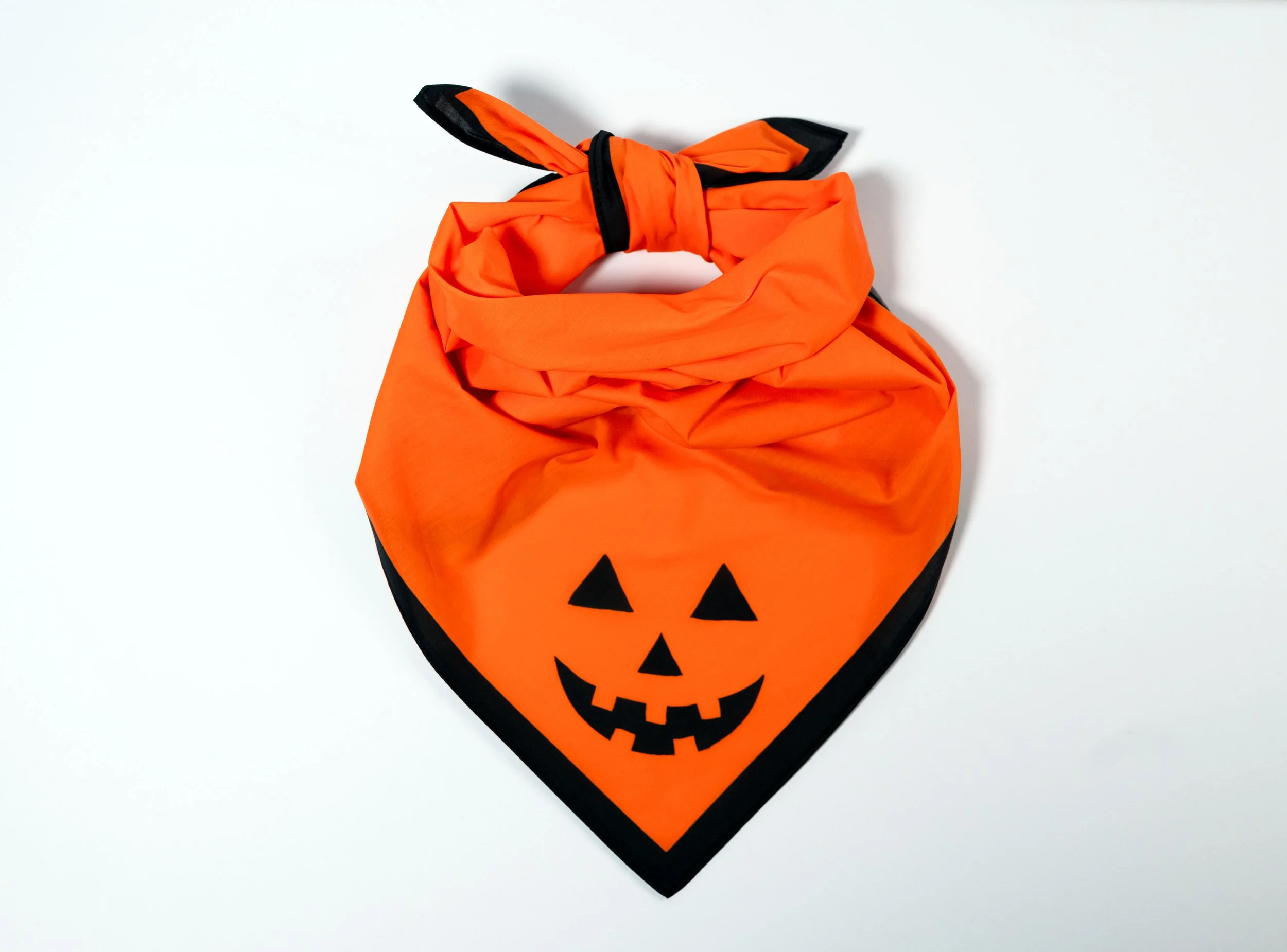 Pumpkin_Bandana.jpg