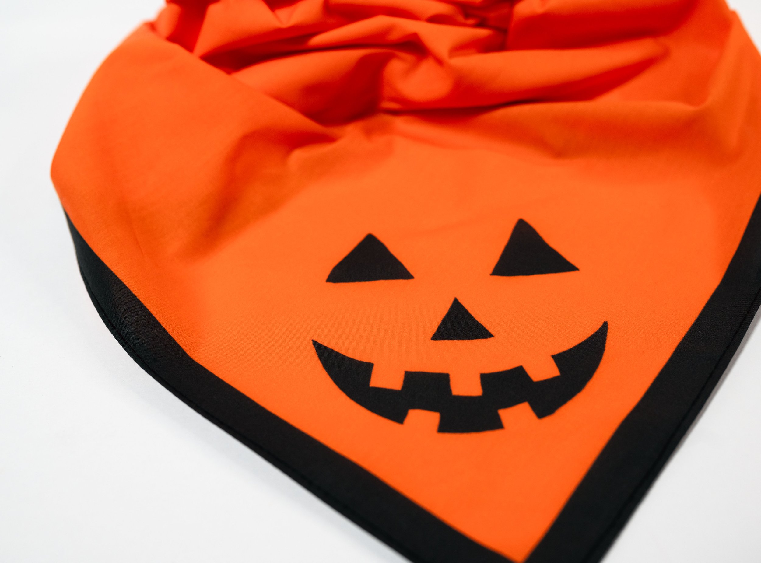 Pumpkin_Detail 2.jpg