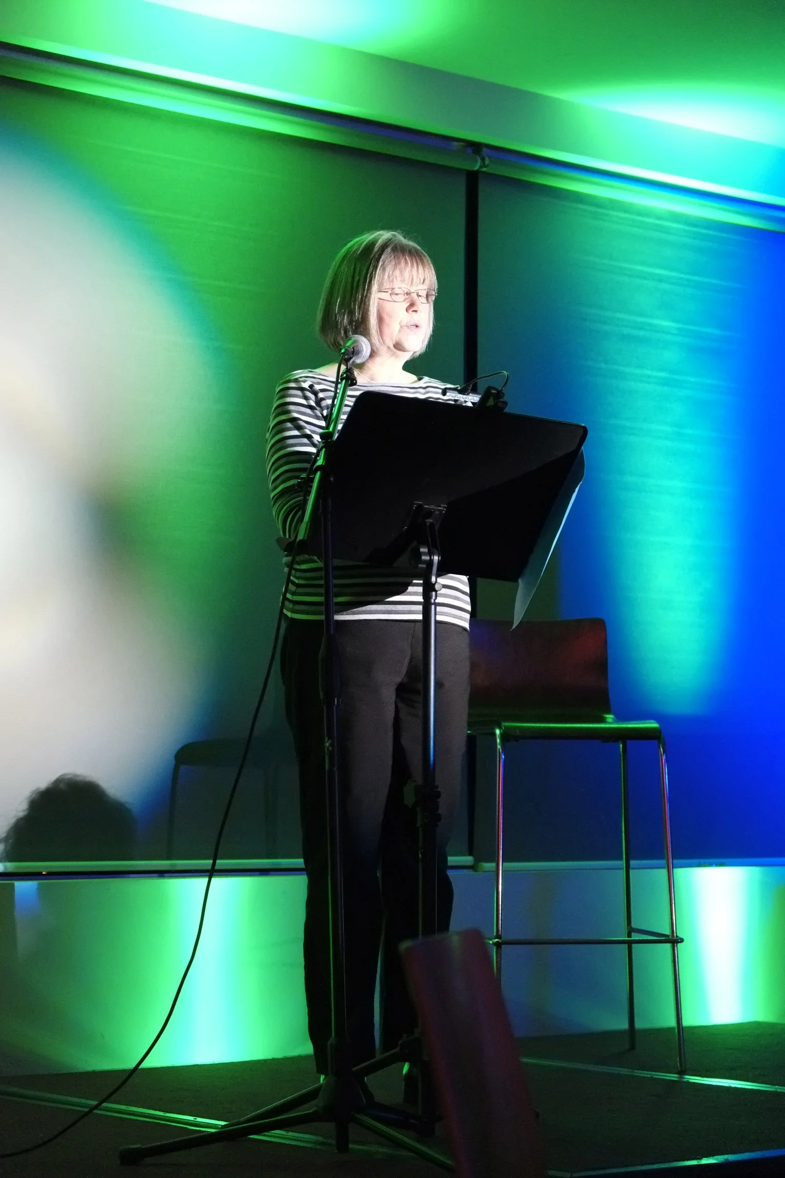 2013-SHWF-Fest-Factor_DSF0631.jpg