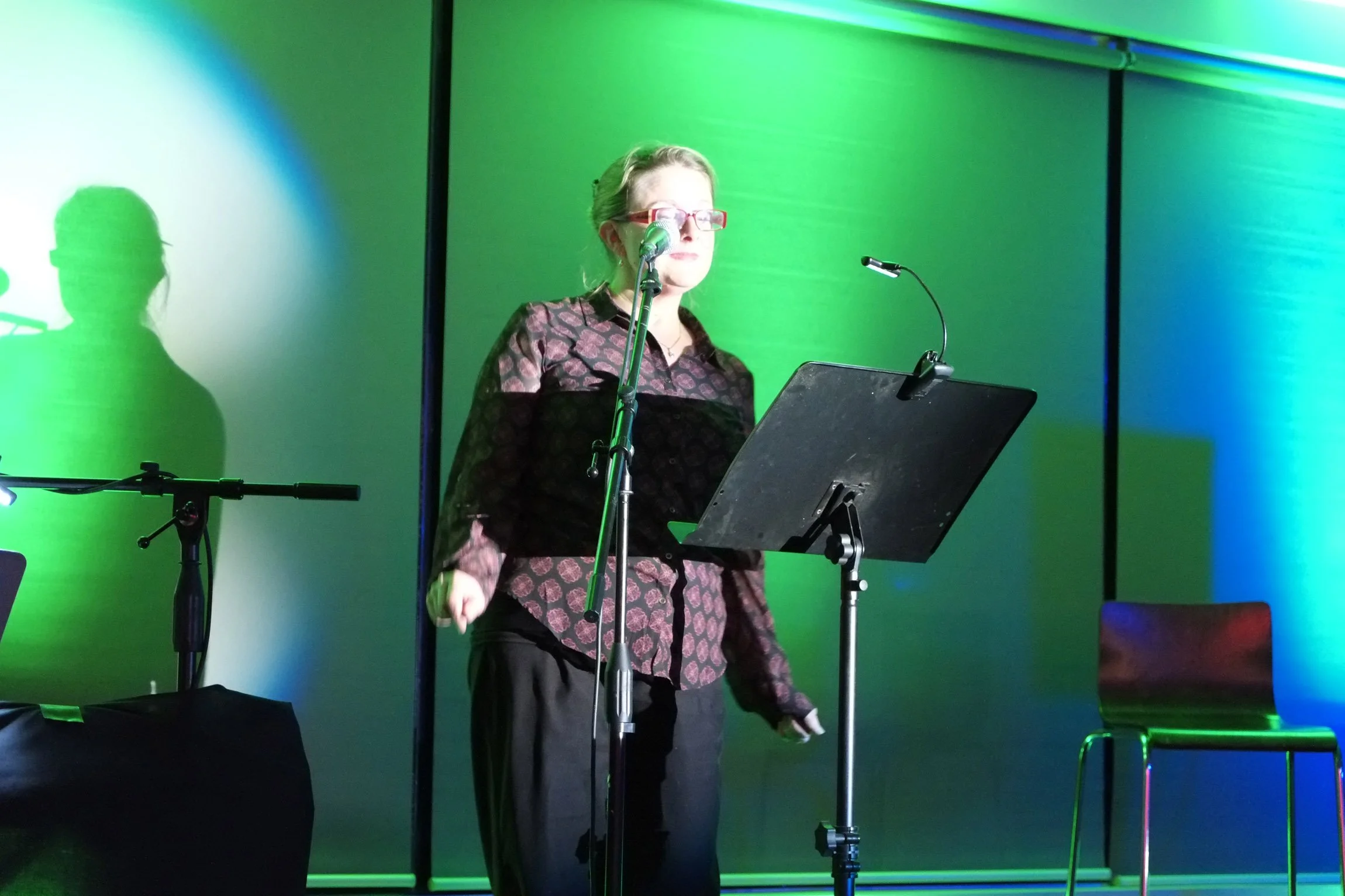 2013-SHWF-Fest-Factor_DSF0656.jpg