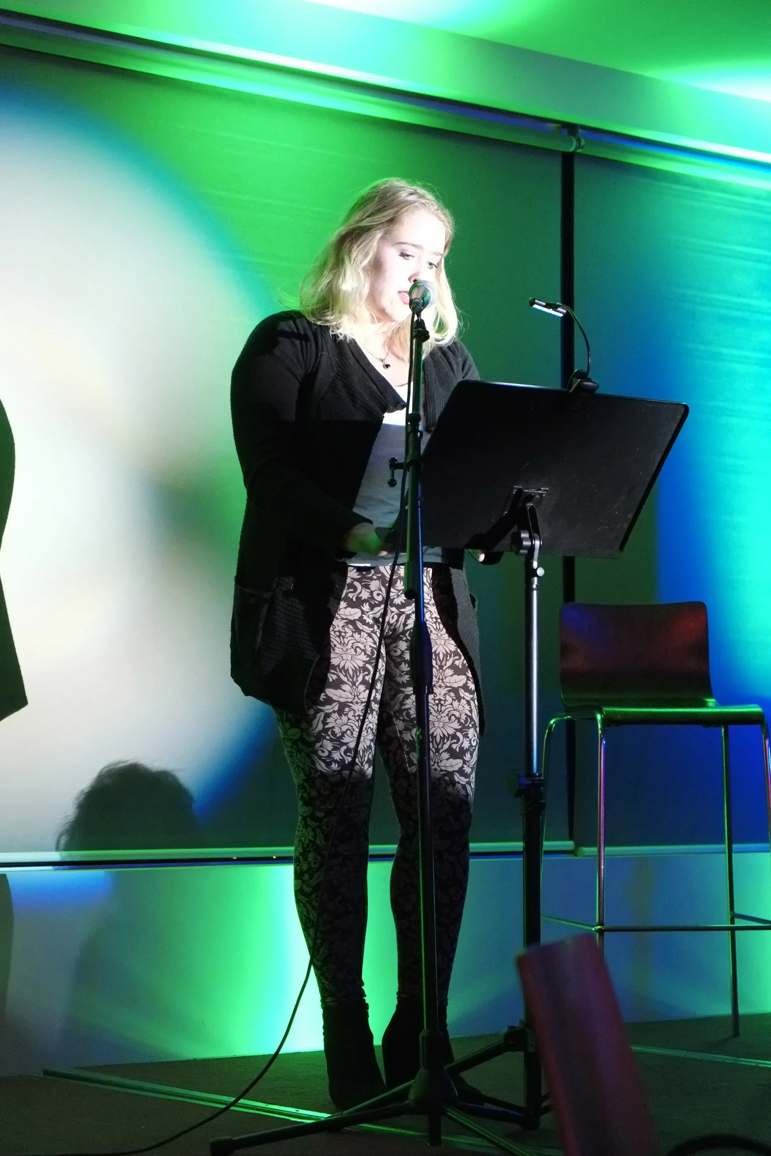 2013-SHWF-Fest-Factor_DSF0652.jpg