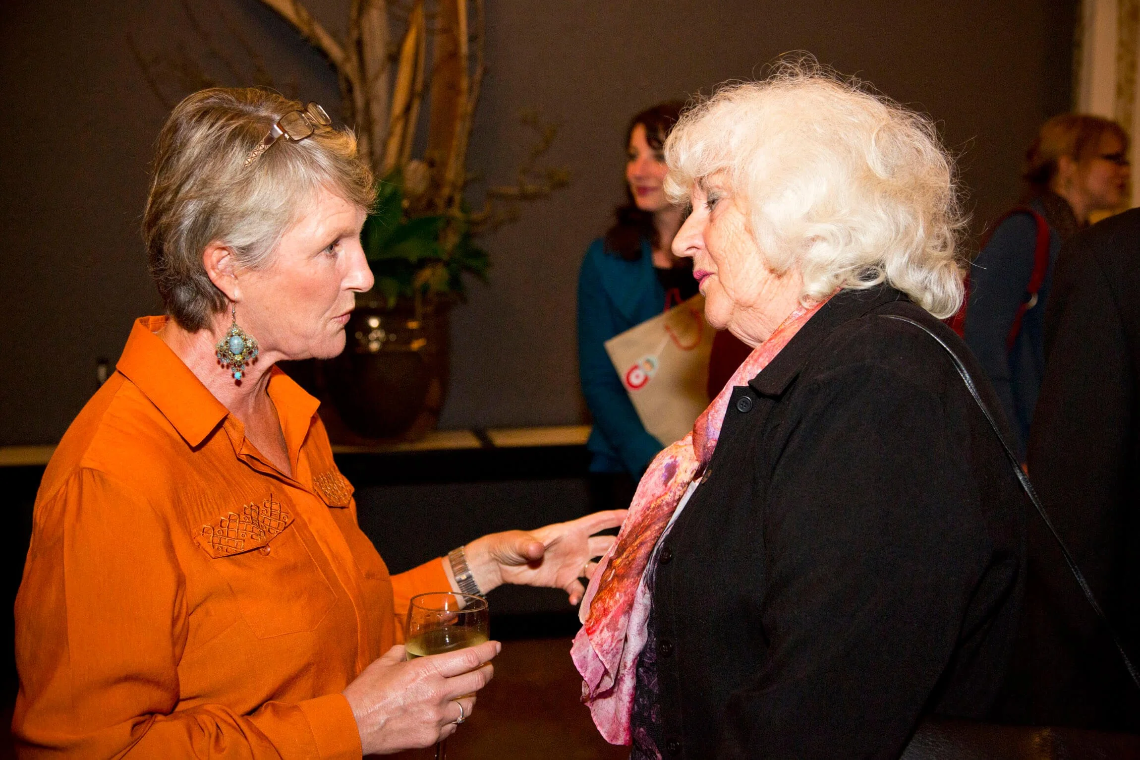 2013-SHWF-May-Launch_130508shwf_0085.jpg