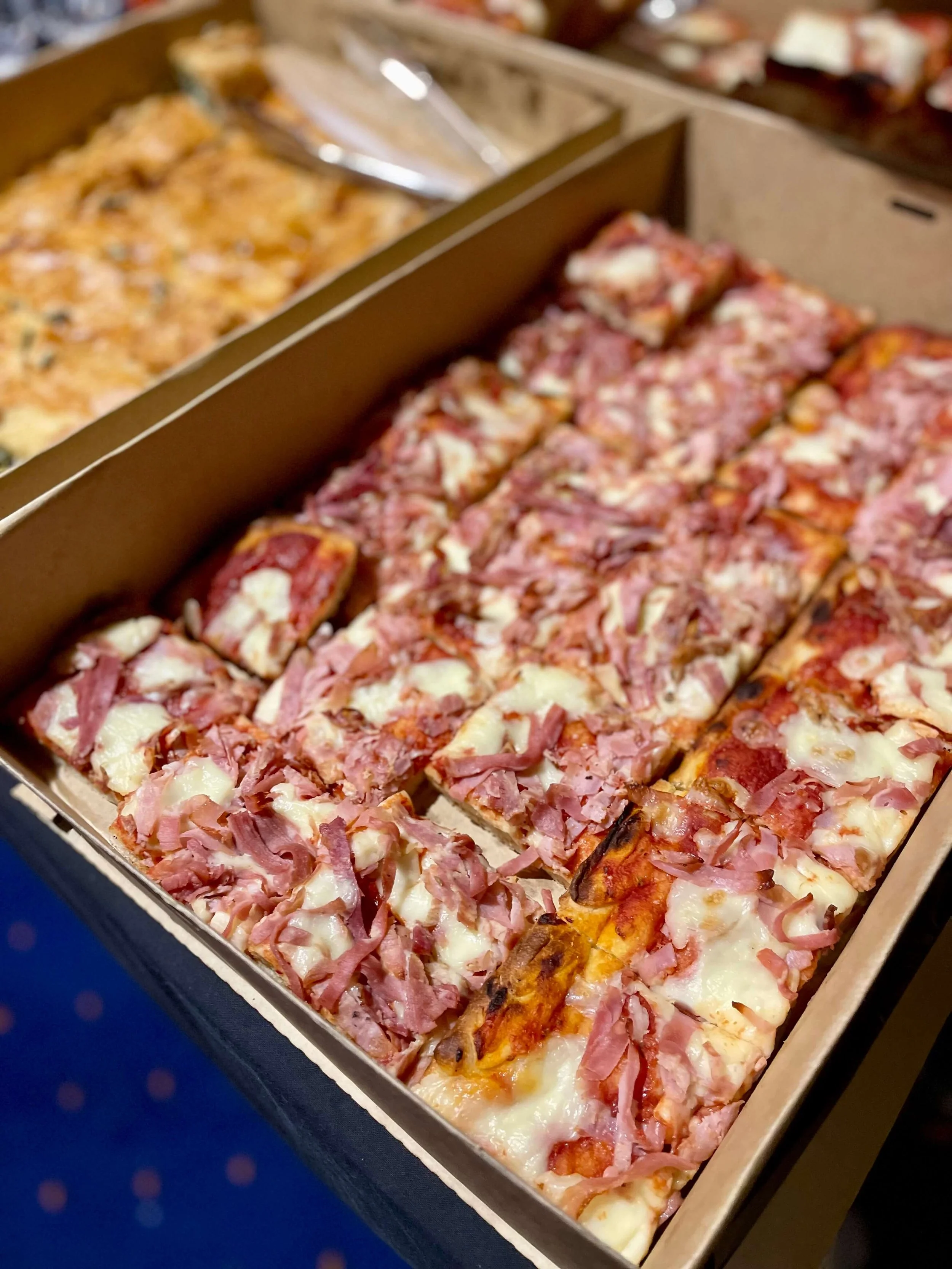 2024-SHWF-Stella-MFS _DSC1910a.jpeg