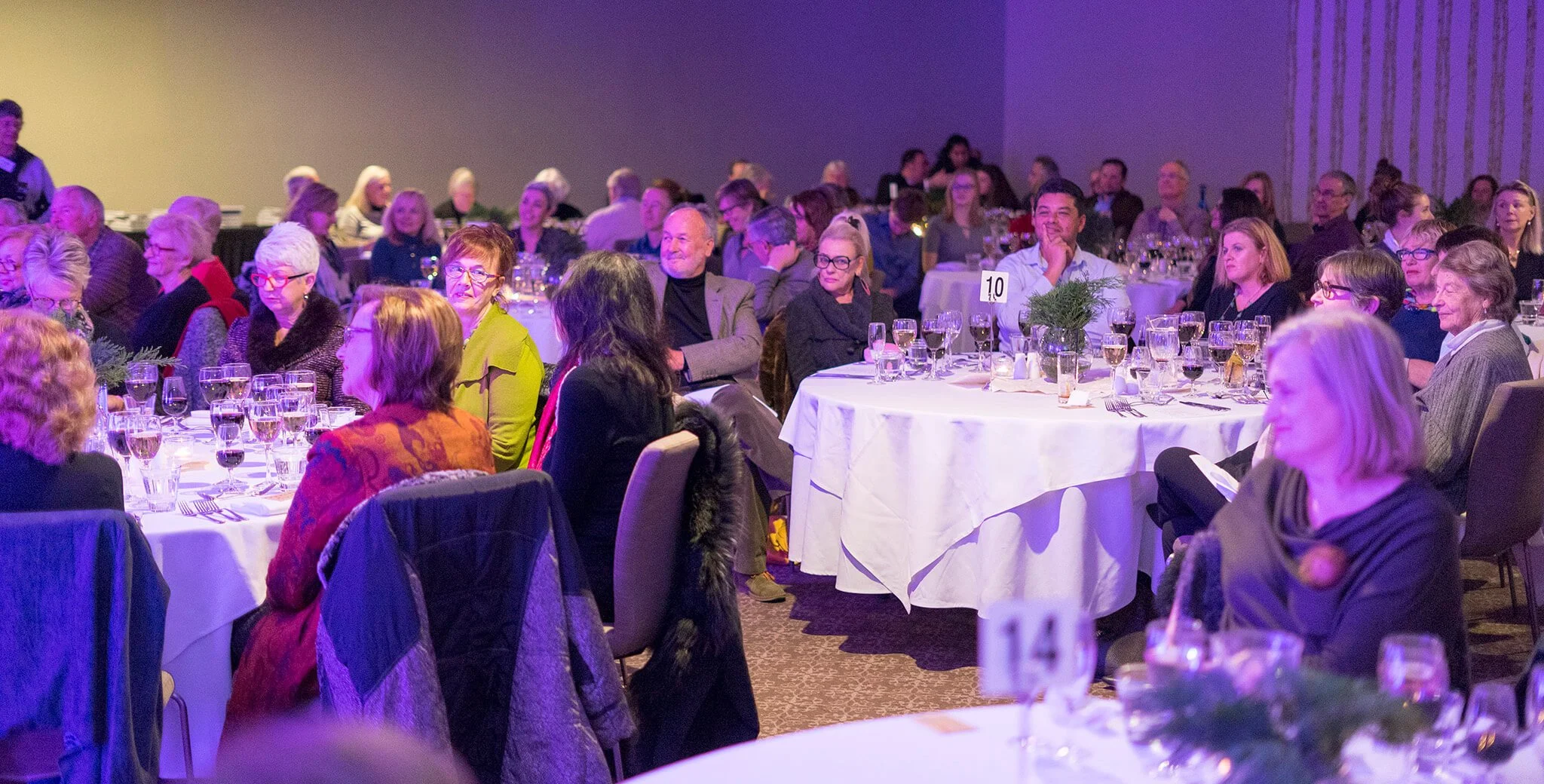 2017-SHWF-Literary-Dinner_DSC6101.jpg