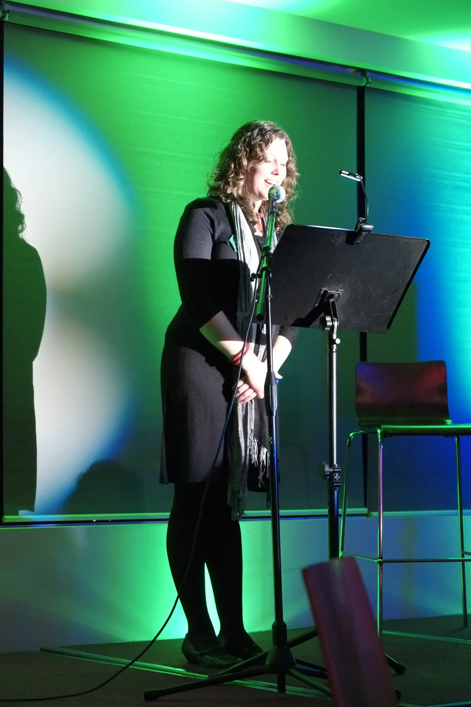 2013-SHWF-Fest-Factor_DSF0637.jpg