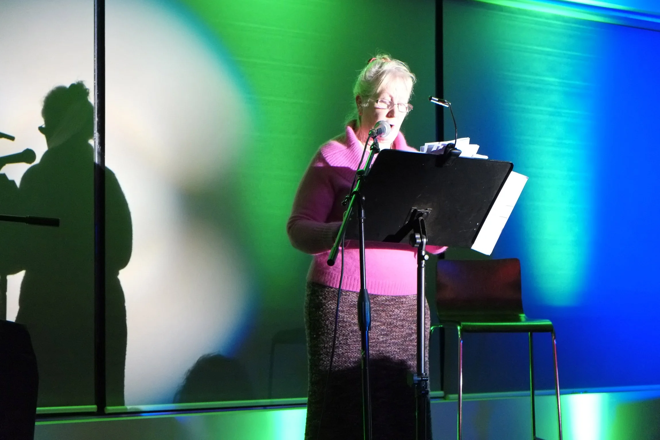 2013-SHWF-Fest-Factor_DSF0648.jpg