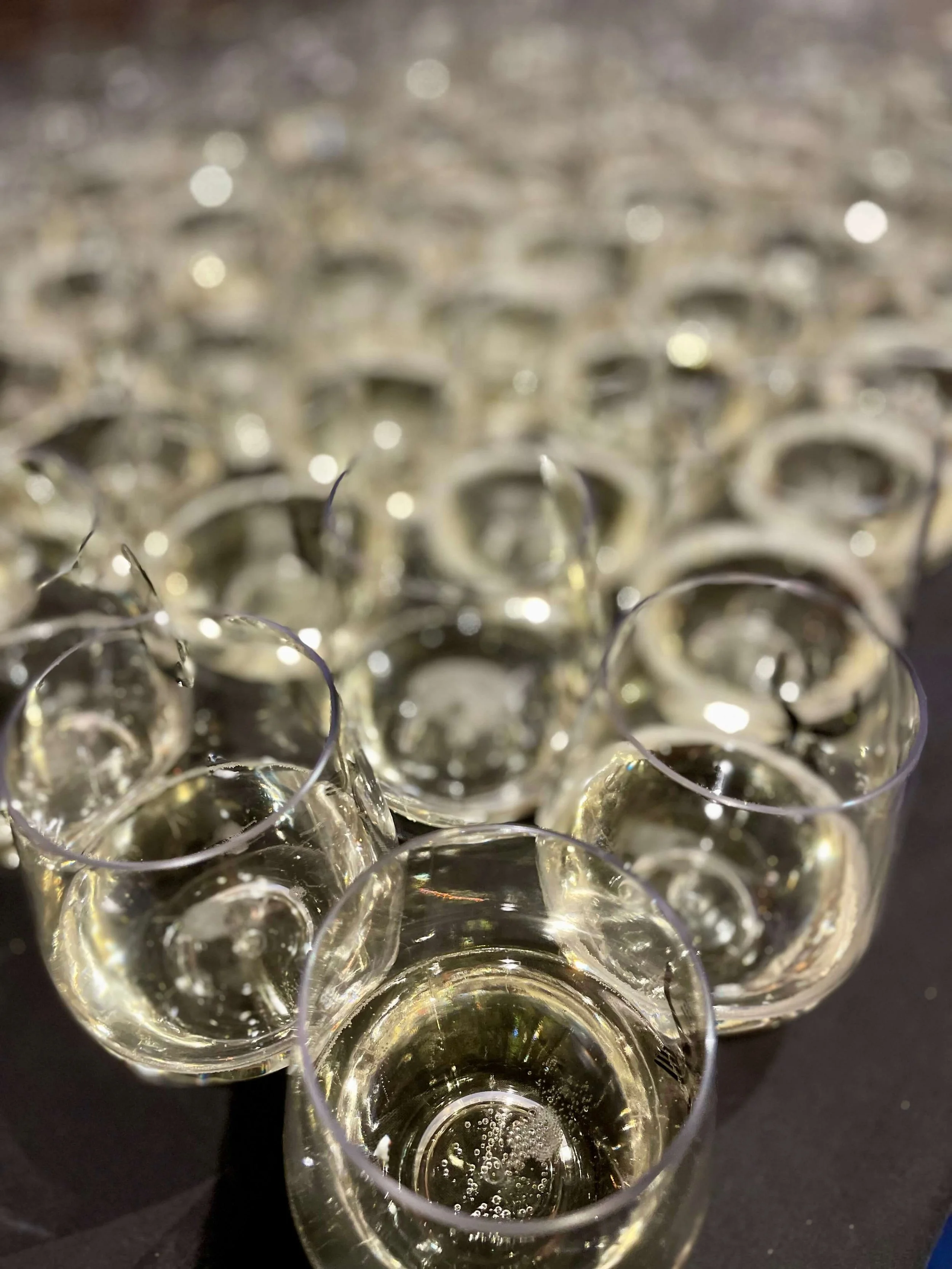 2024-SHWF-Stella-MFS _DSC1910b.jpeg