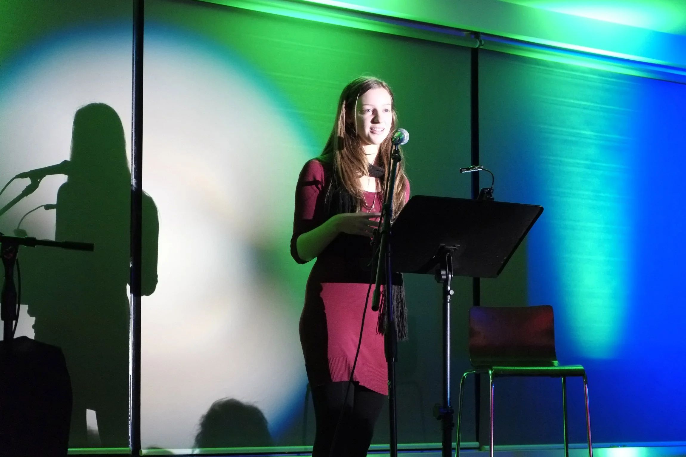 2013-SHWF-Fest-Factor_DSF0623.jpg