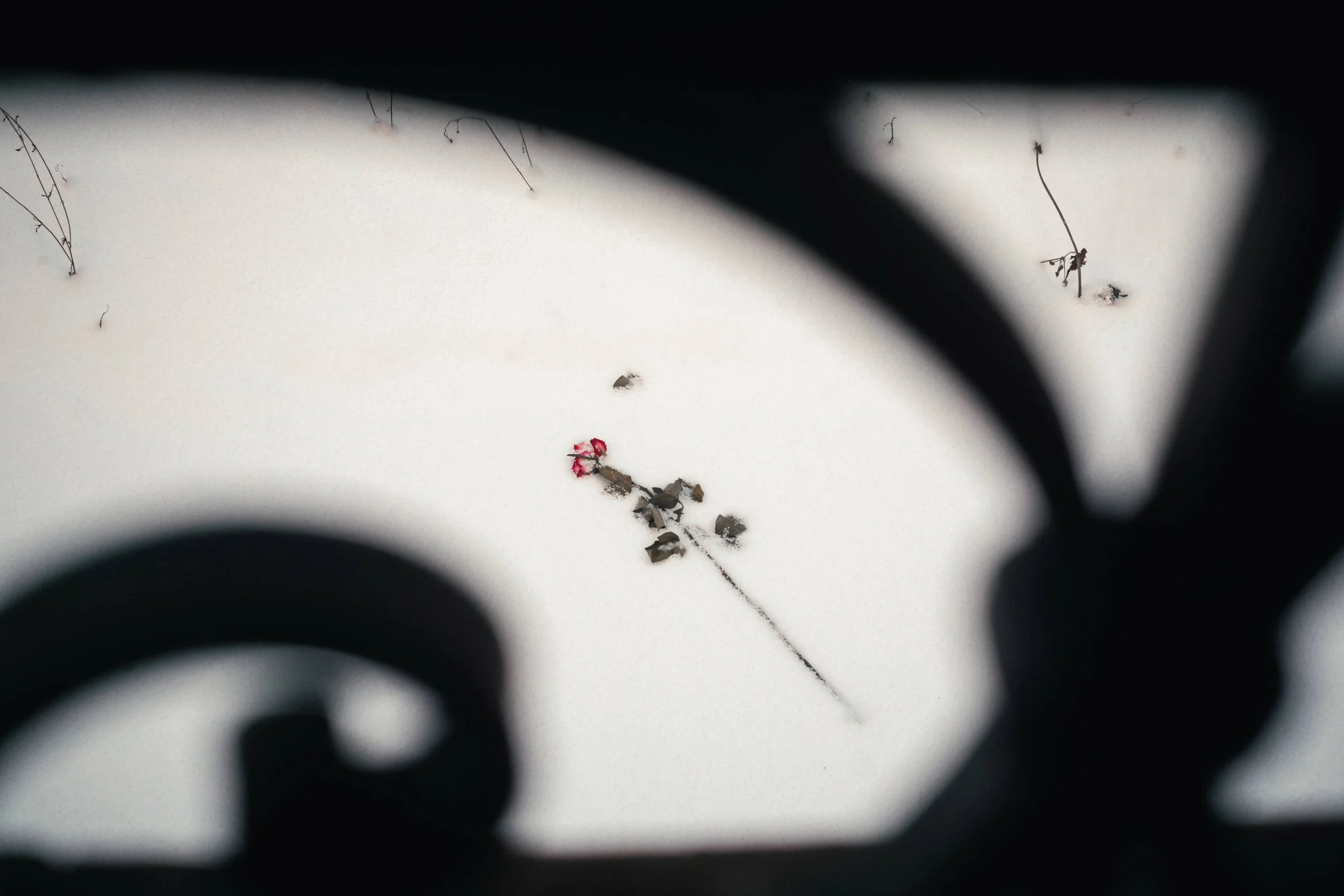 DSCF6482-Avec accentuation-Bruit.jpg