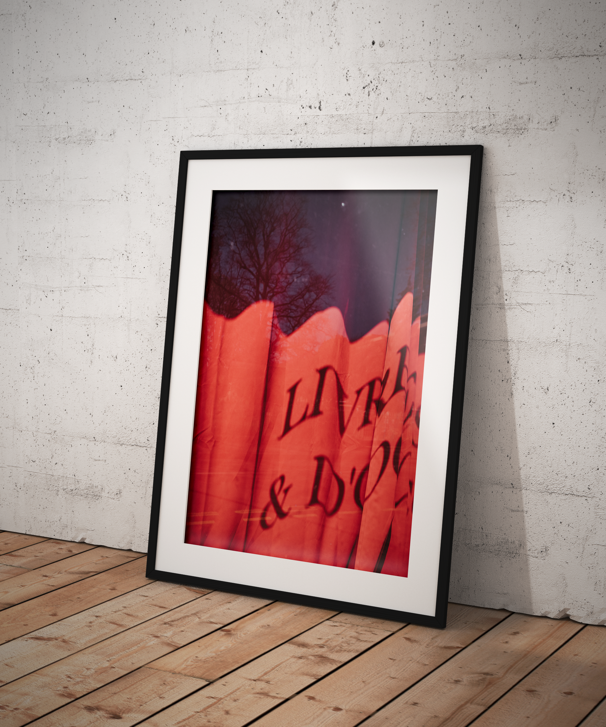 Librairie - Belfort, France 2025