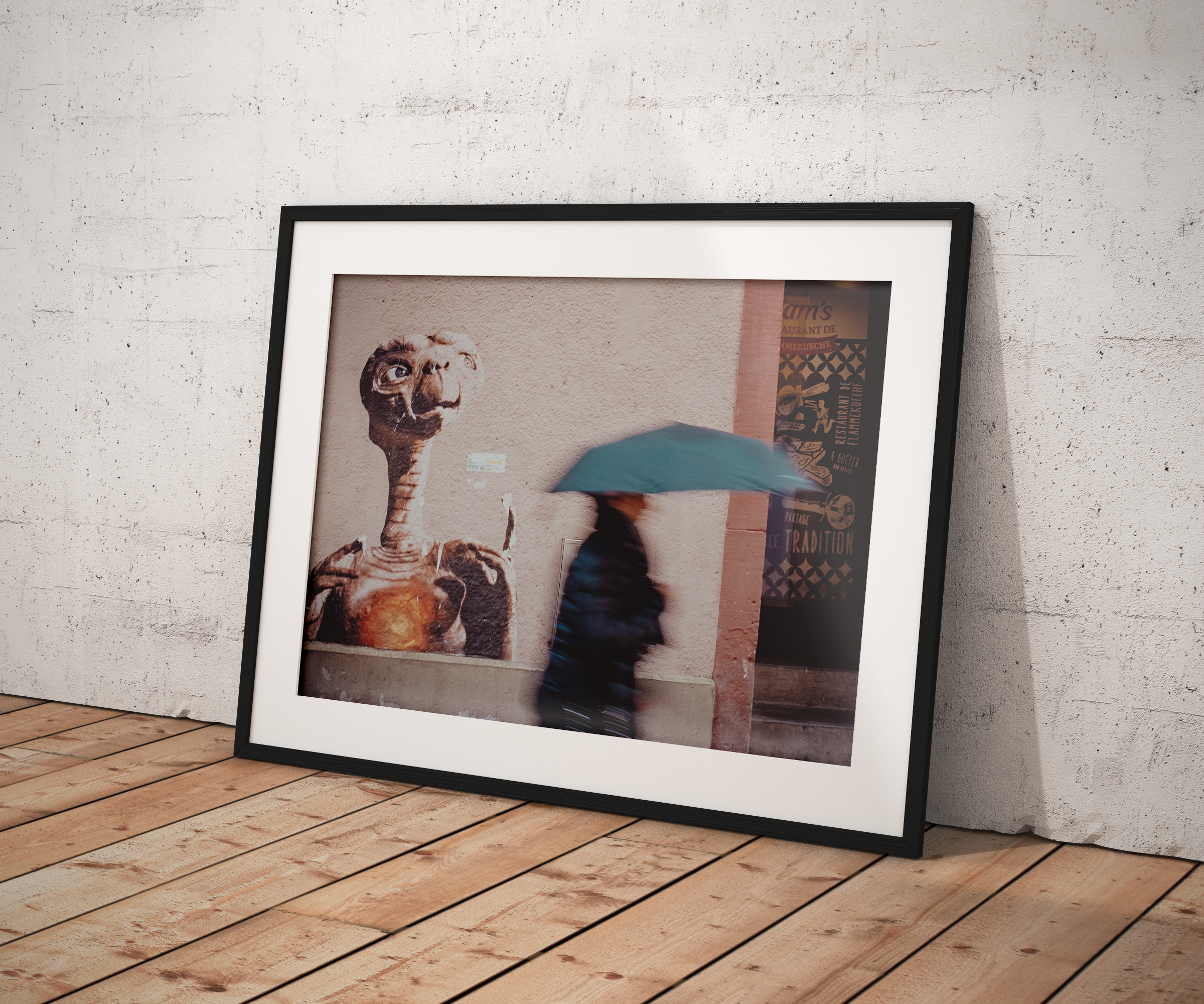 E.T sous la pluie - Belfort, 2016