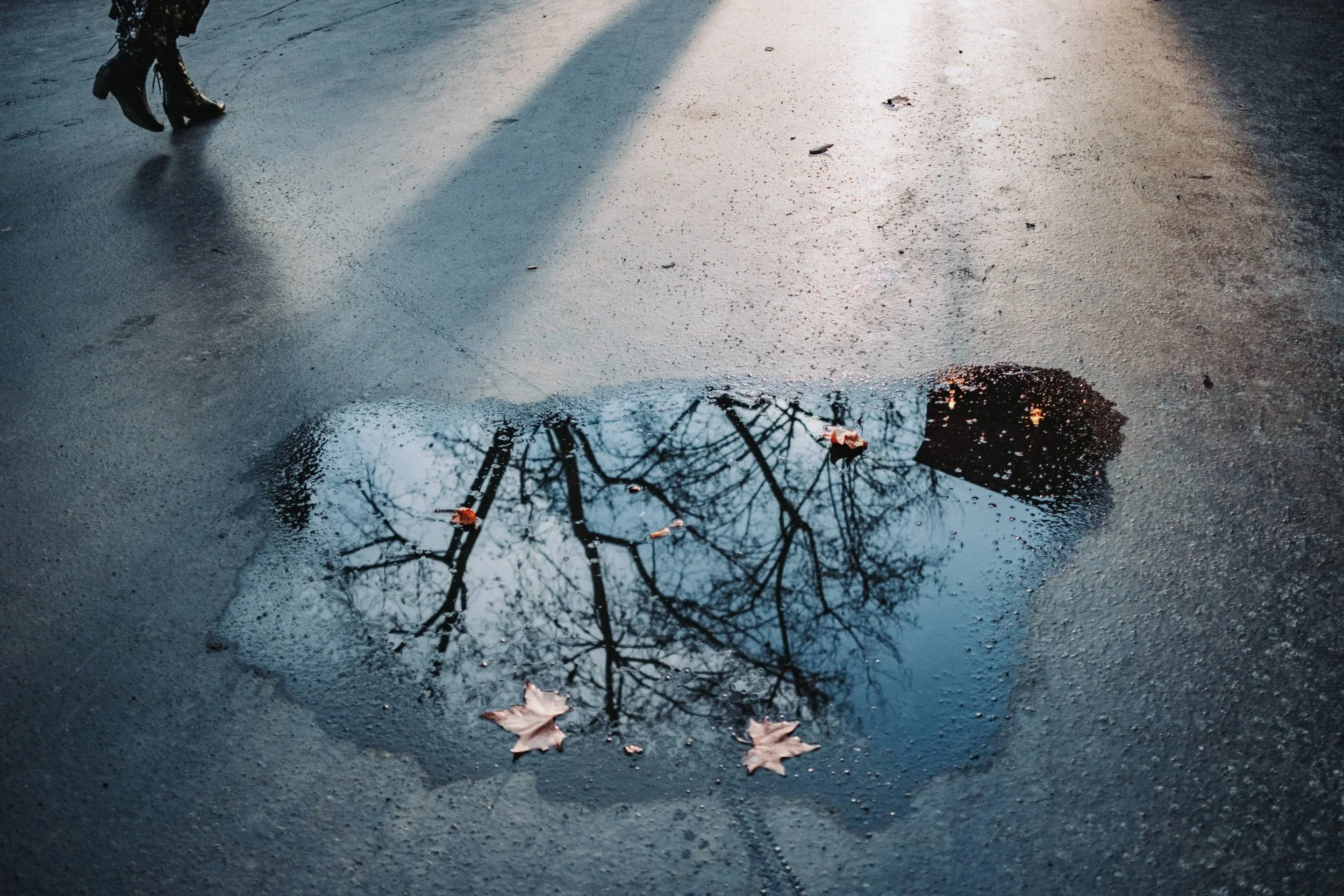 109-Damien-Lorek-2025 SELECTION.JPG