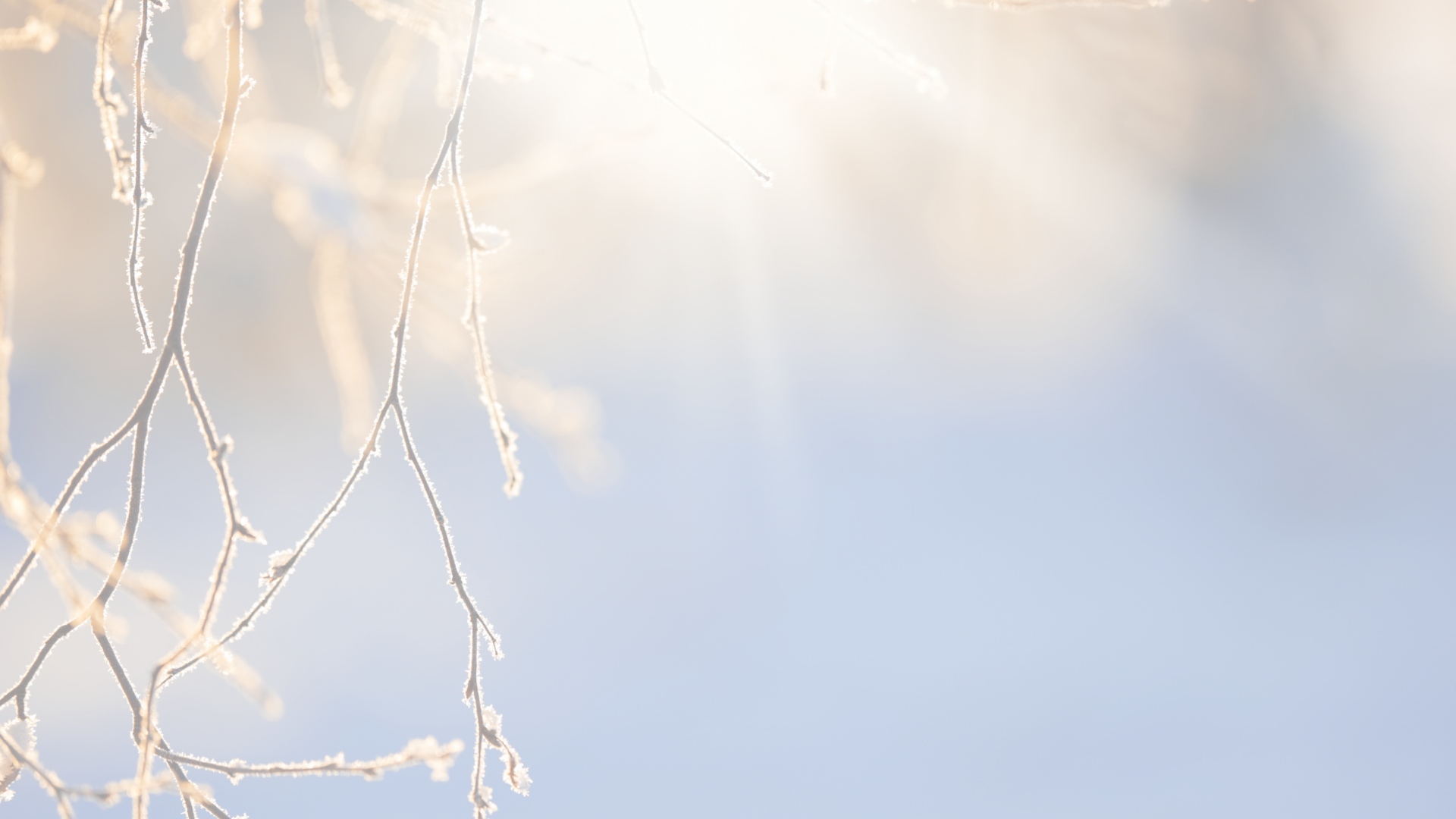 Treasure Valley Home Sales Prices Dip in January