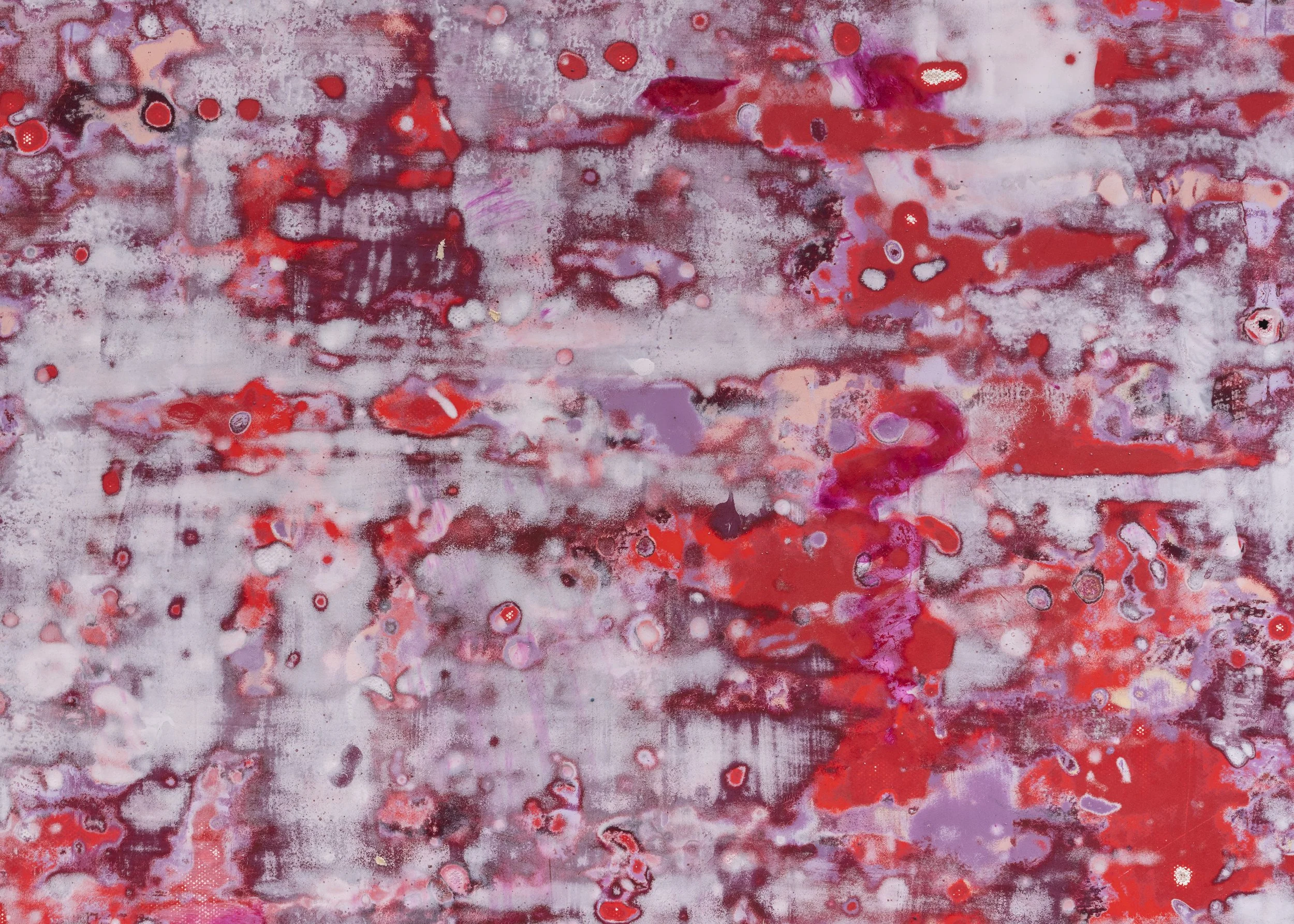 Scarlet Fever, 2026, detail.