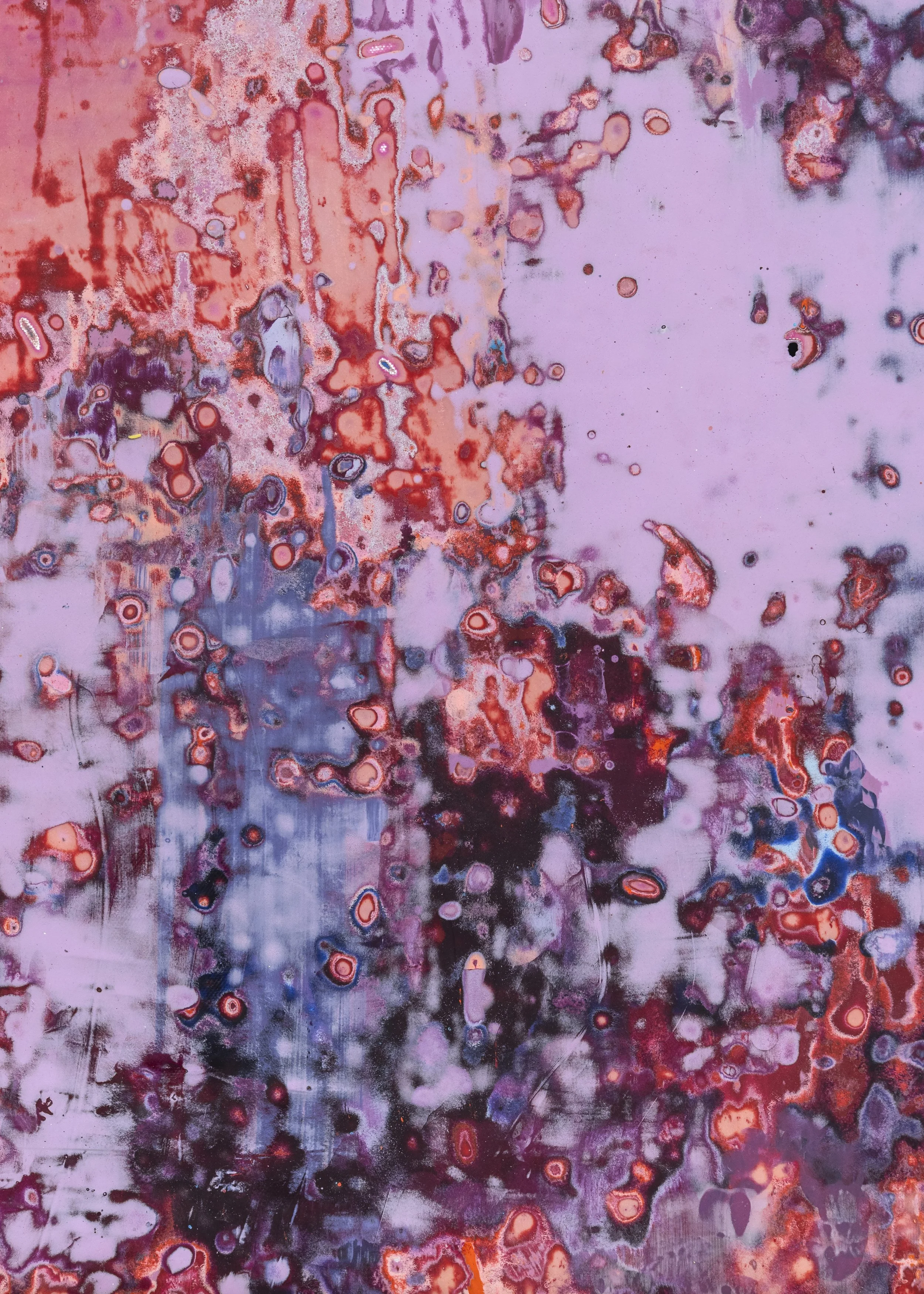 Honey Hole (detail), 2026
