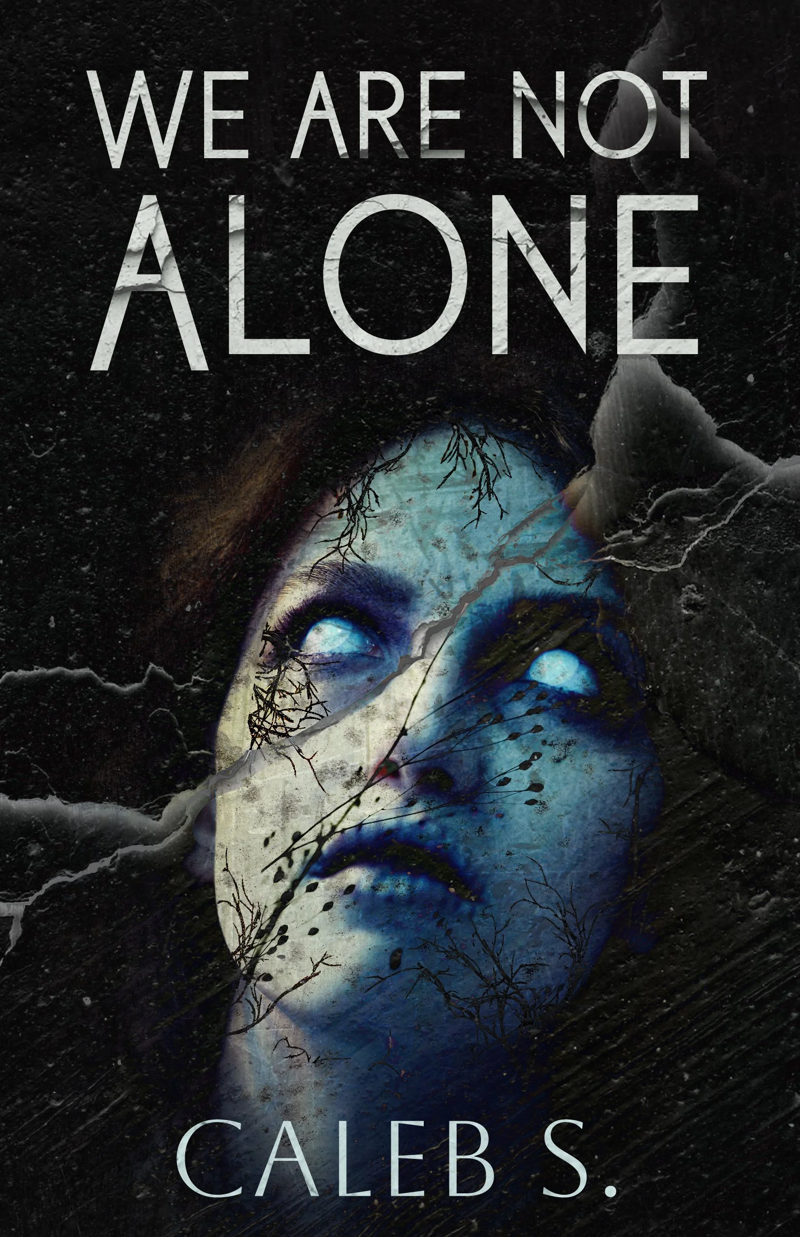 we are not alone draft 2 ebook.jpg