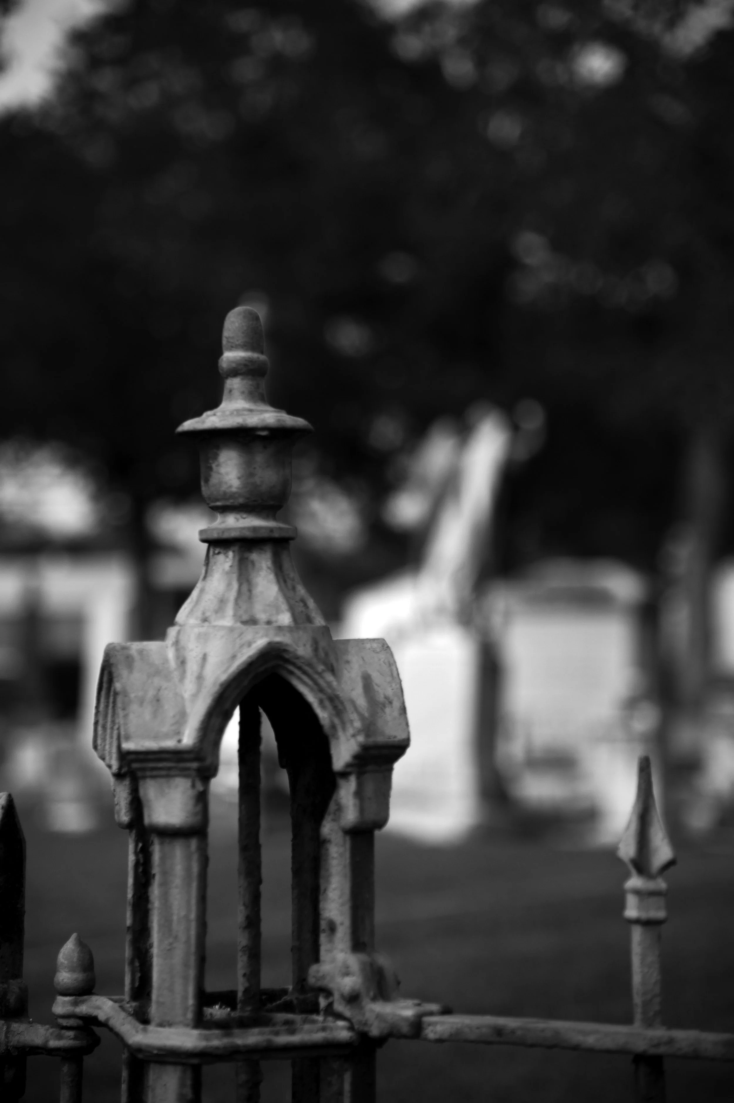 PJ1_3742 La Grange Cemetery Detail 2.jpg