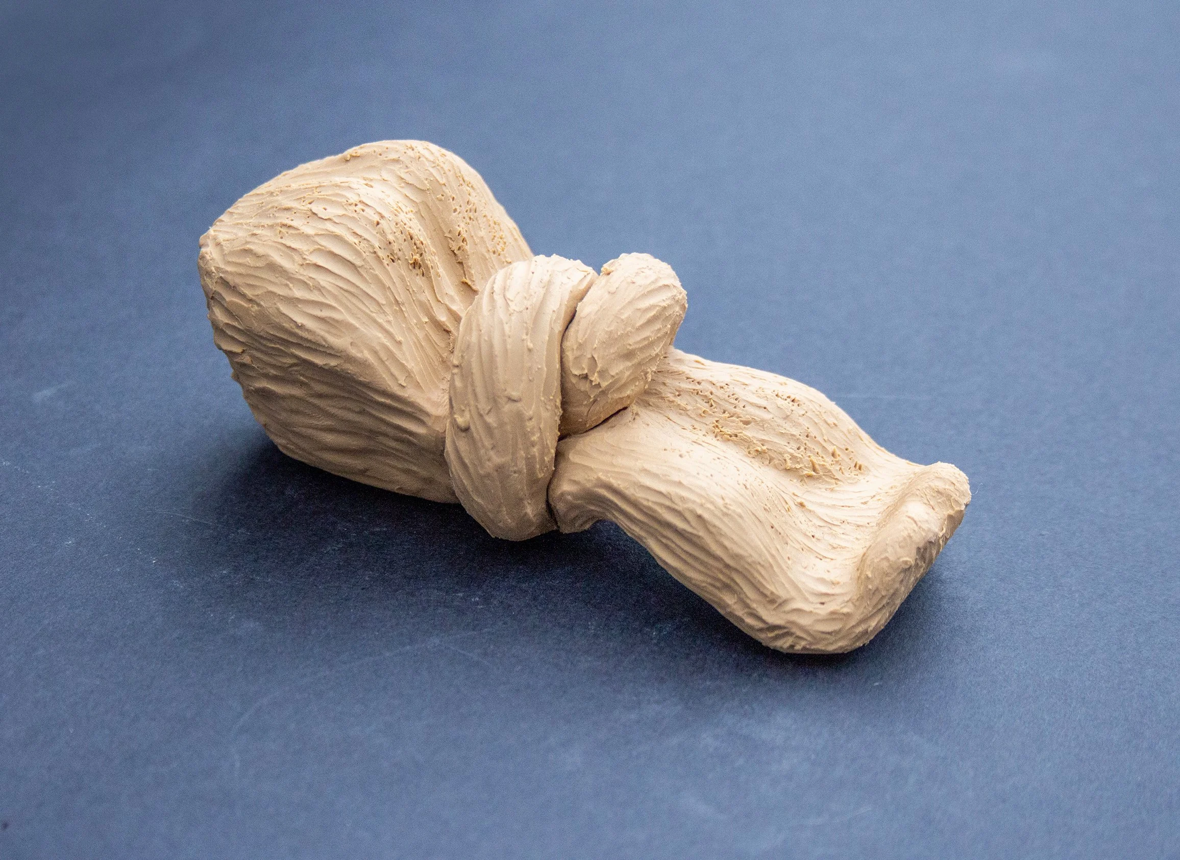 A beige-colored, textured sculpture resembling a twisted, intertwined shape on a blue background.