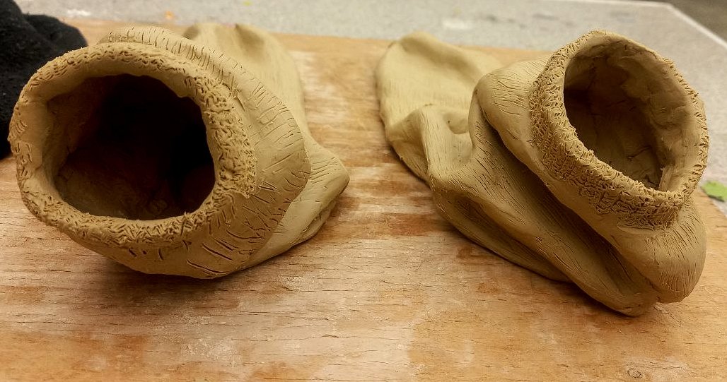 Two large, hollow, beige-colored dried mushrooms on a wooden surface.