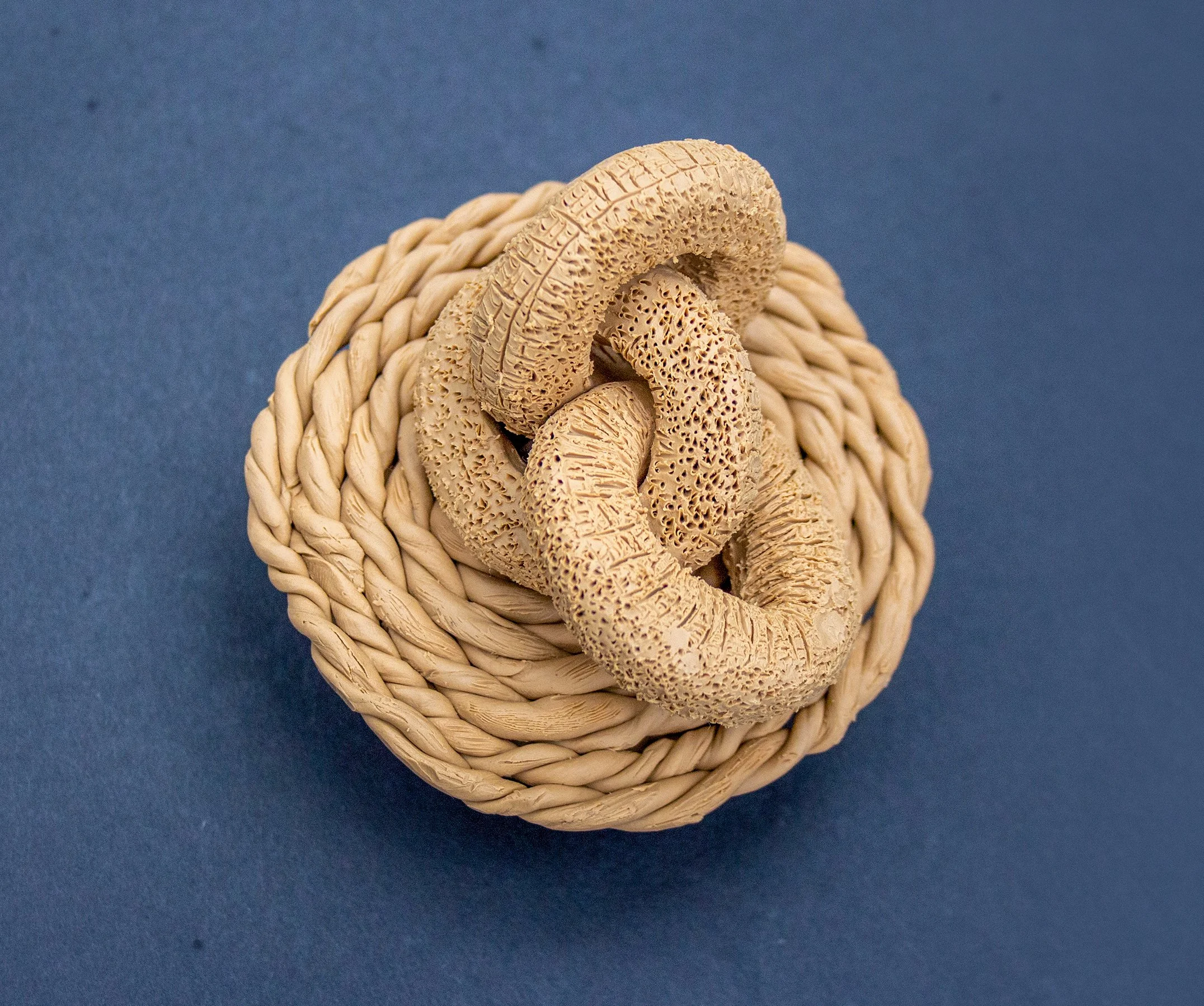 Three dried morel mushrooms arranged on a small woven straw bowl against a blue background.