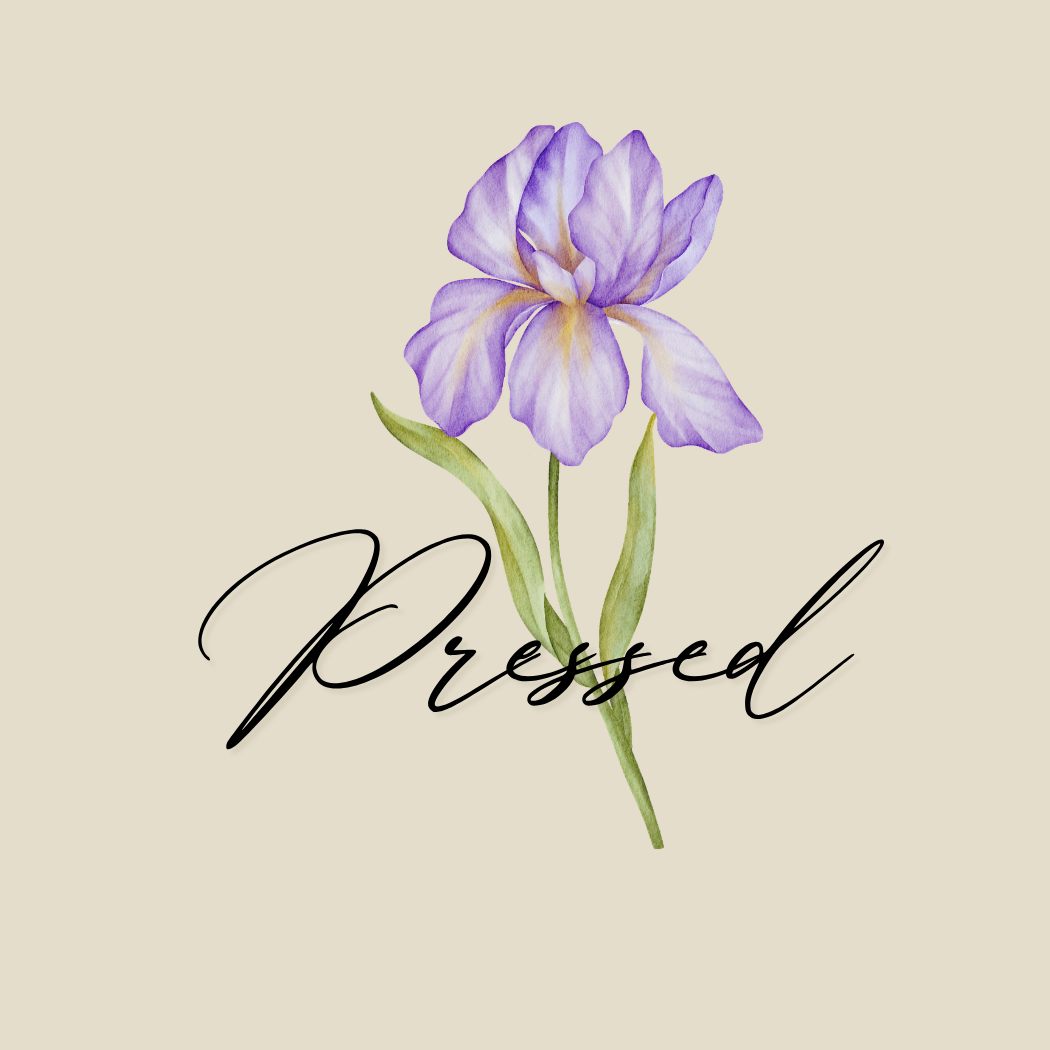 Scent Glimpse Product Photos (2).png
