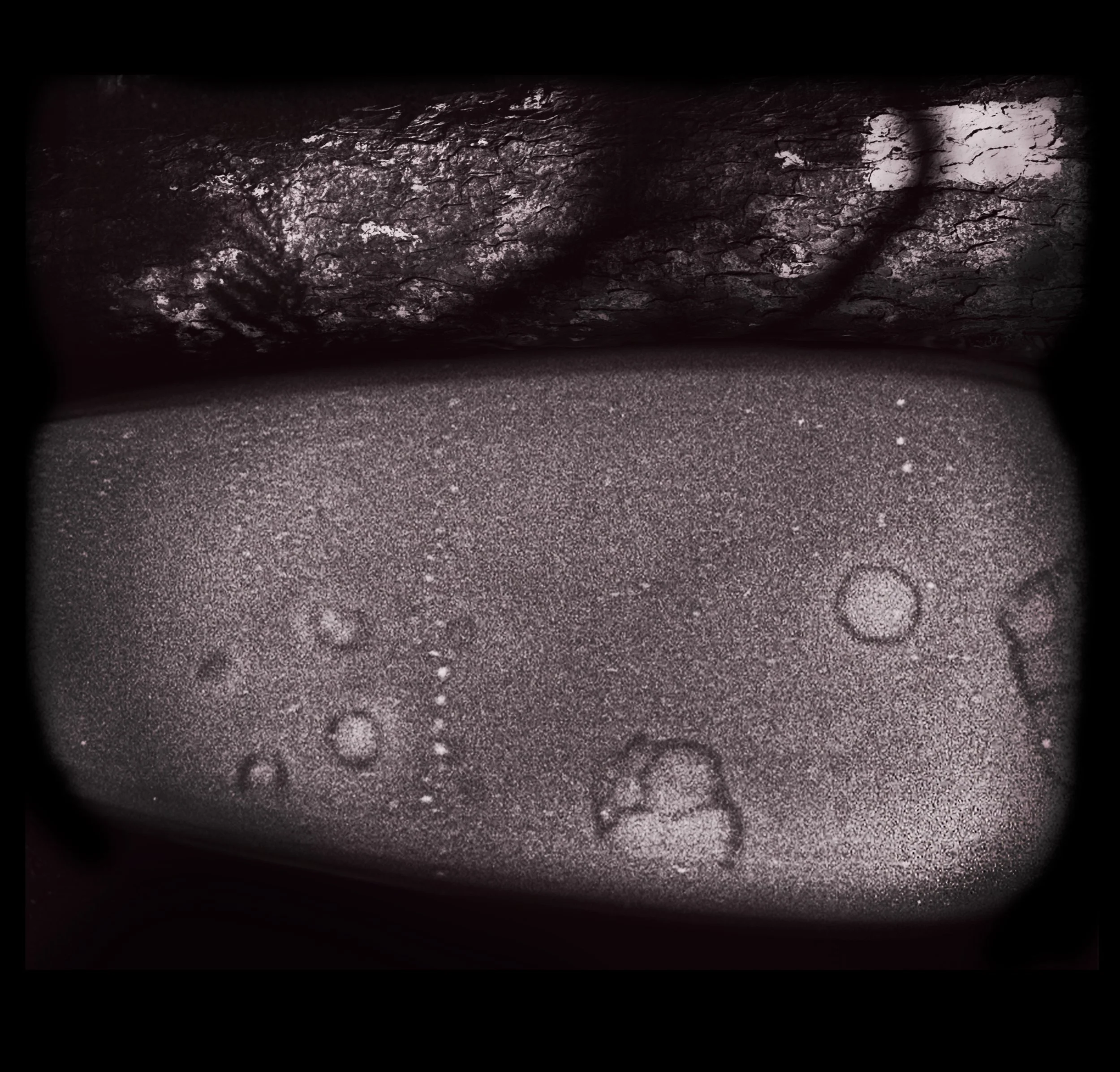 Cross-Section of Facepaint