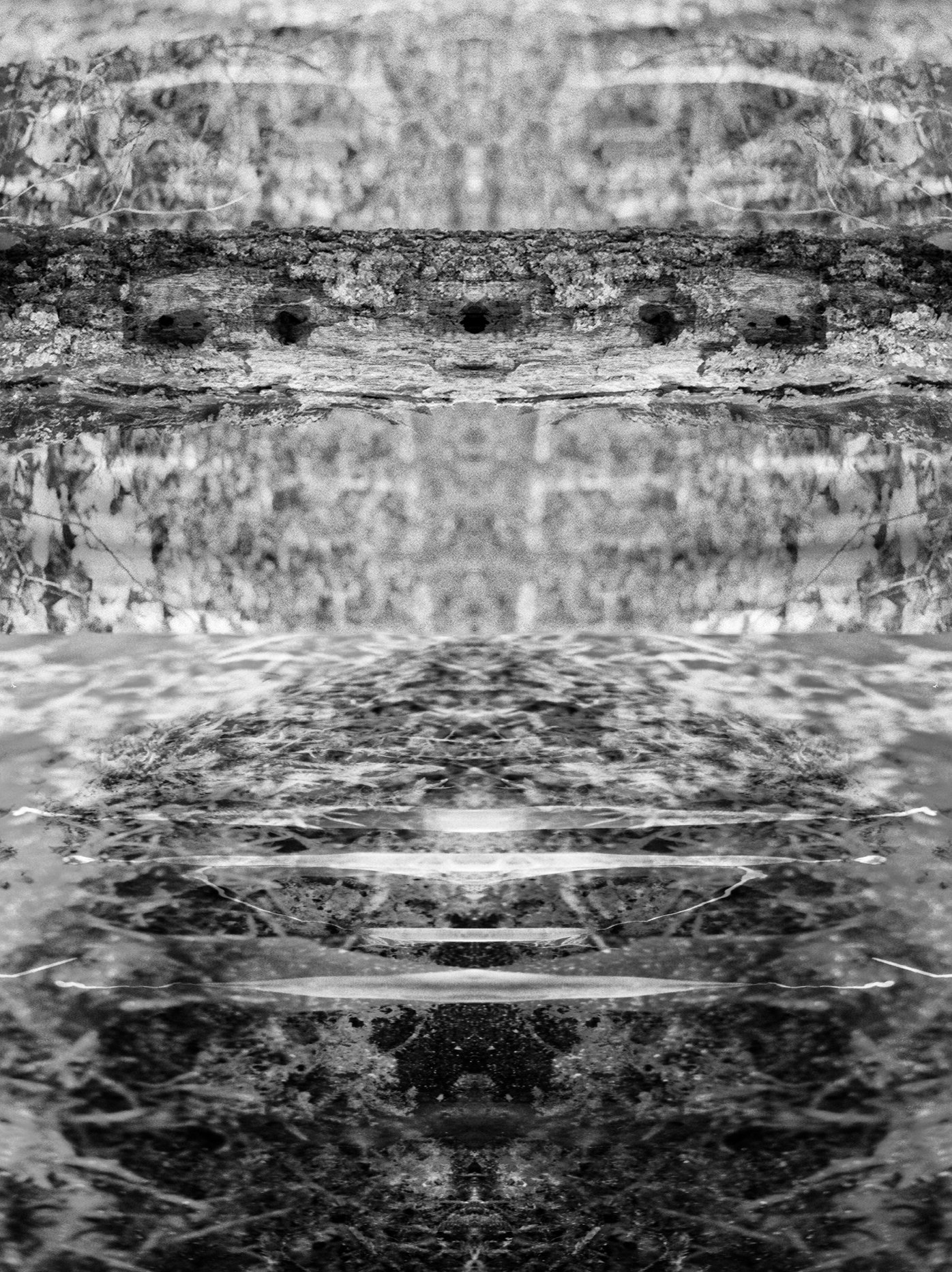 Organs 01