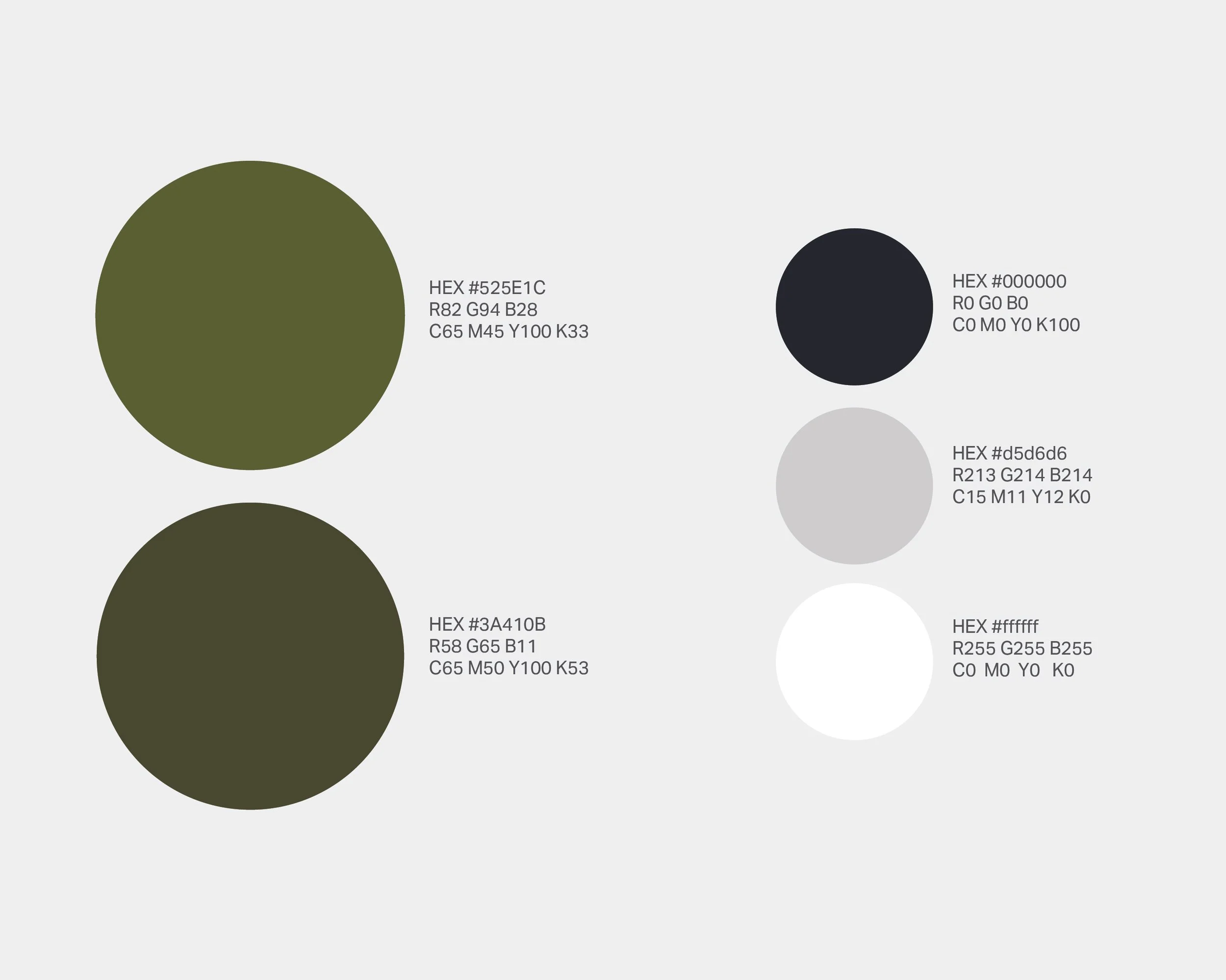 Holiday Color Palette.jpg