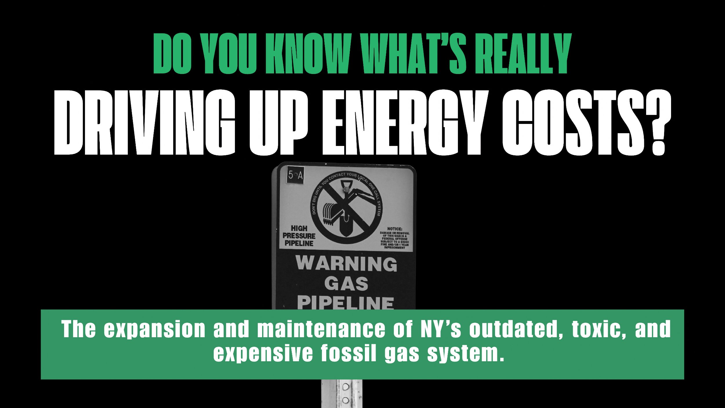 Press Conference to Defend NY's Climate Law