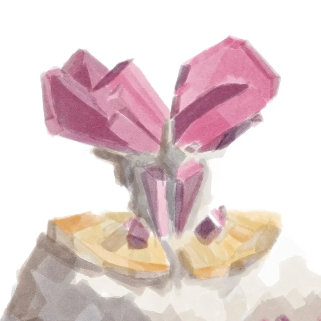 THE CRYSTAL CROWN HARVEST