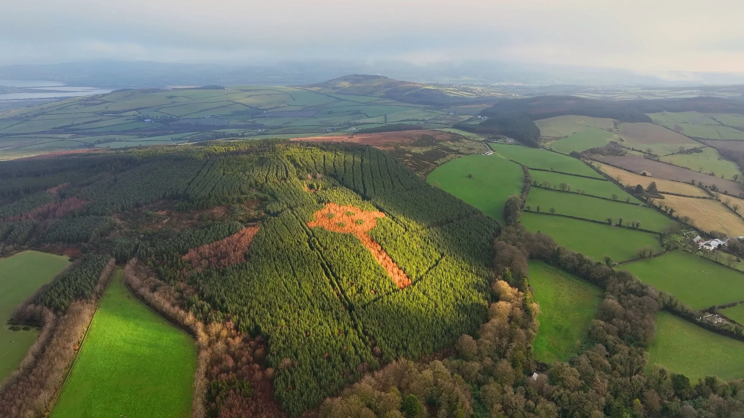 The Giant  Cross hidden in an irish forest