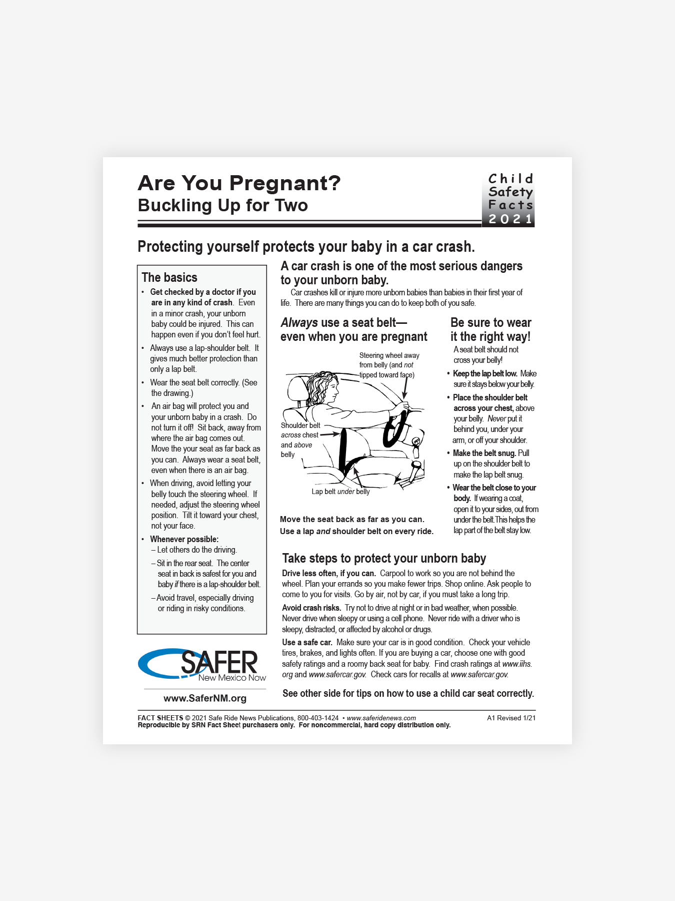 Are You Pregnant Buckling Up for Two - English Download.png