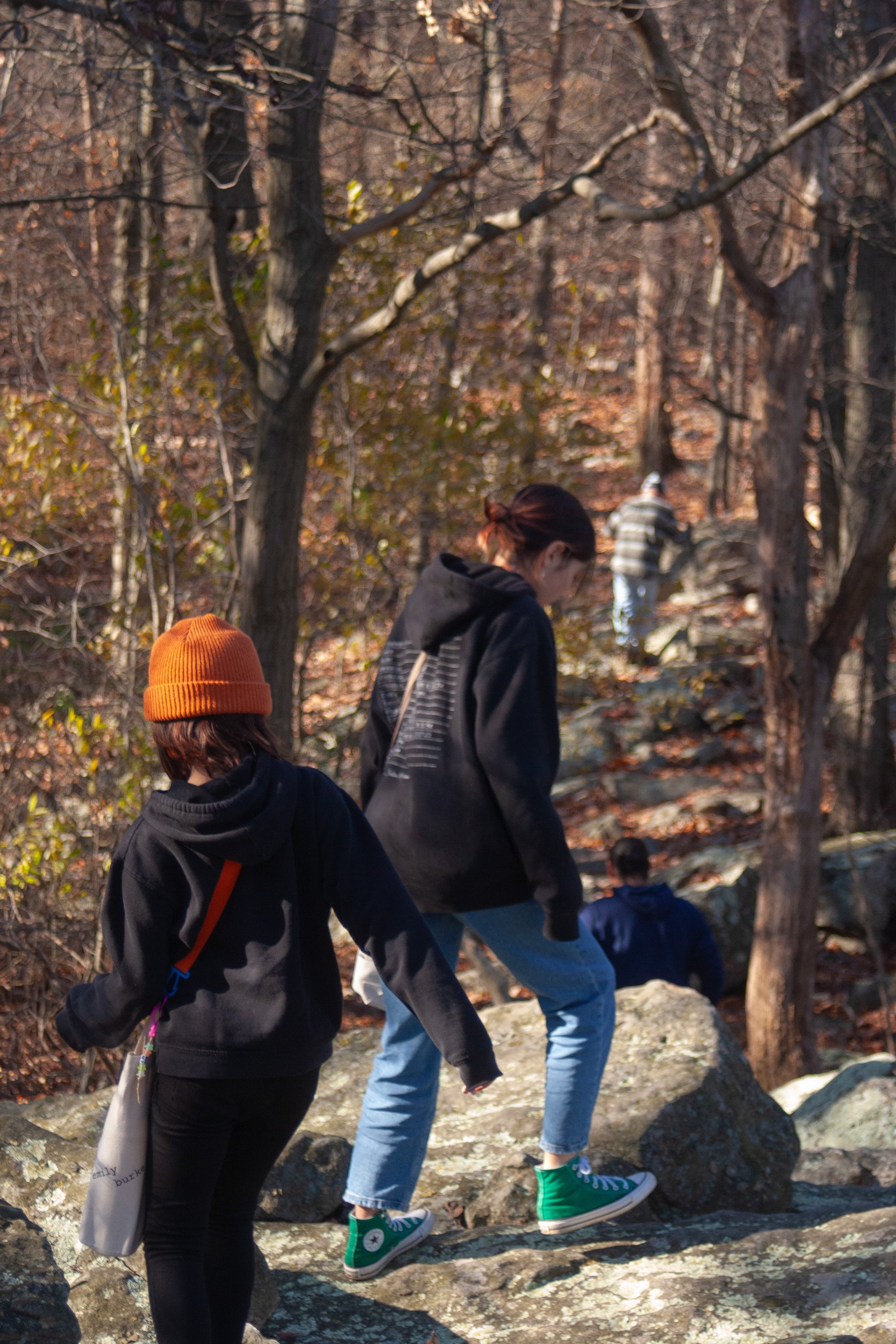 _MG_7612.jpg
