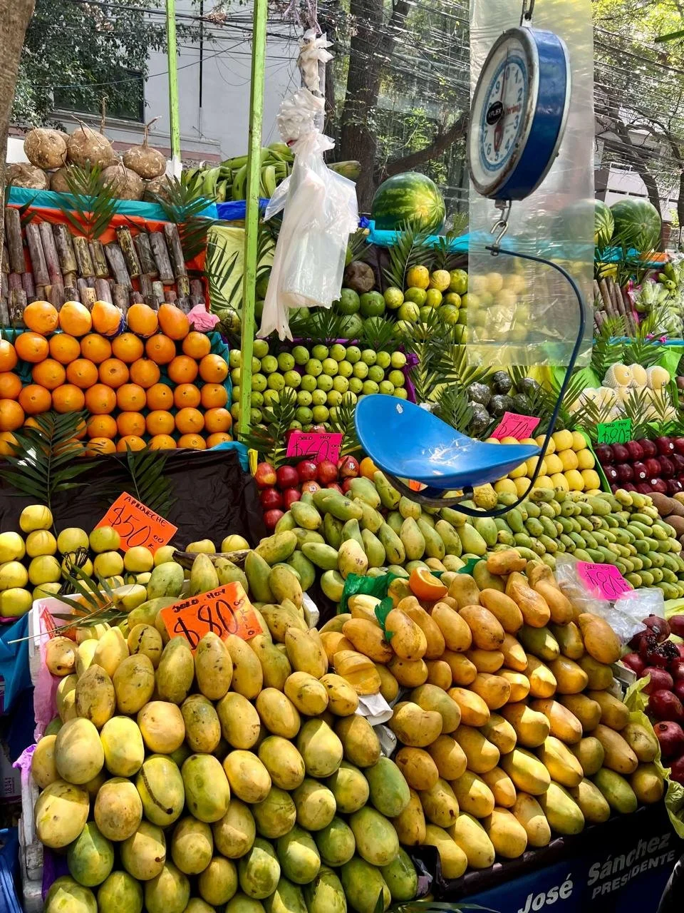 Tianguis de los sábados en Polanco